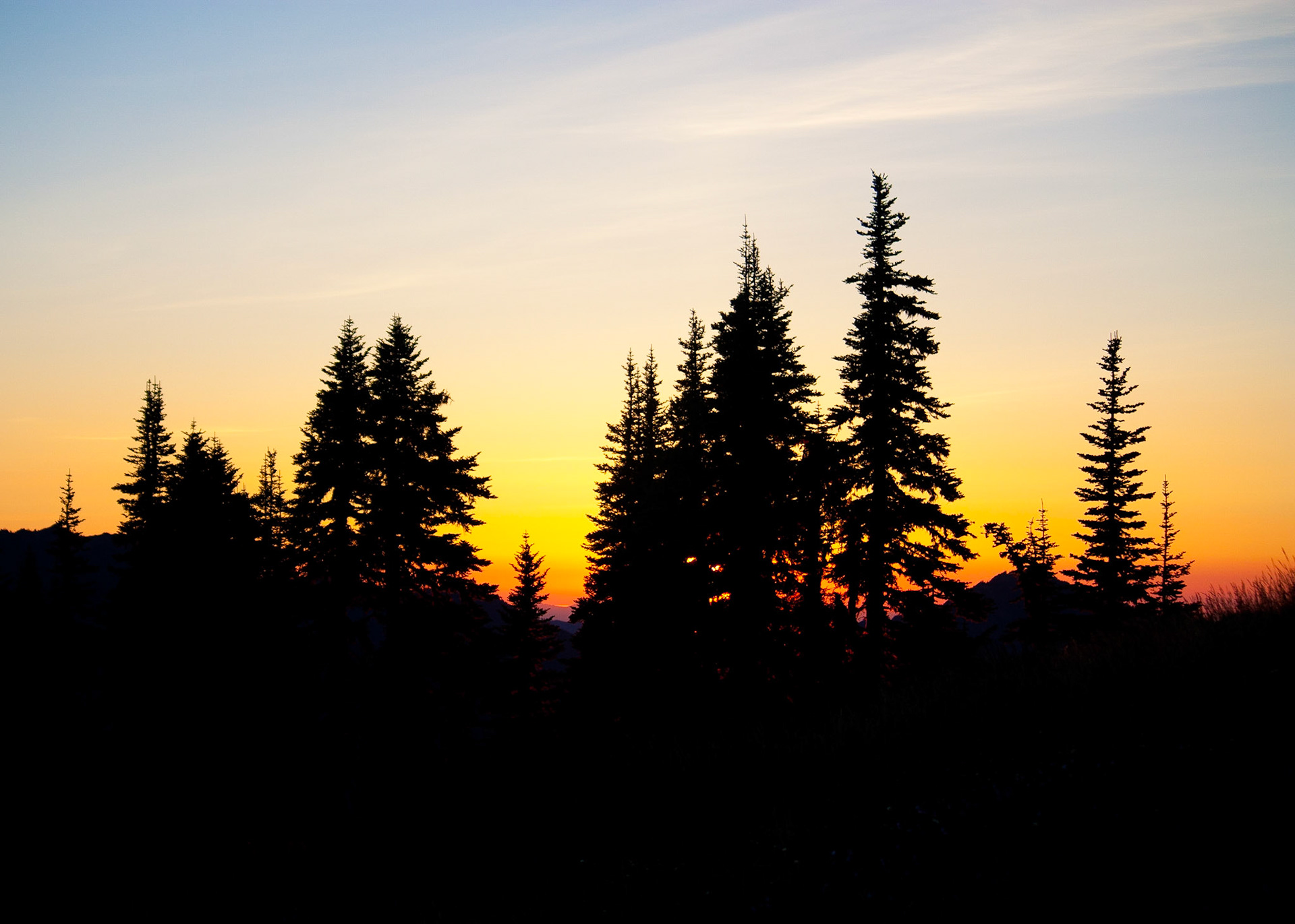 Photo was taken at Hurricane Ridge, Olympic Mountains, Washington State, USA.