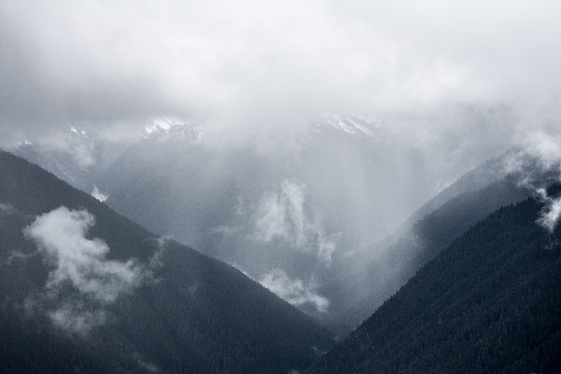Photo was taken at Hurricane Ridge, Olympic Mountains, Washington State, USA.