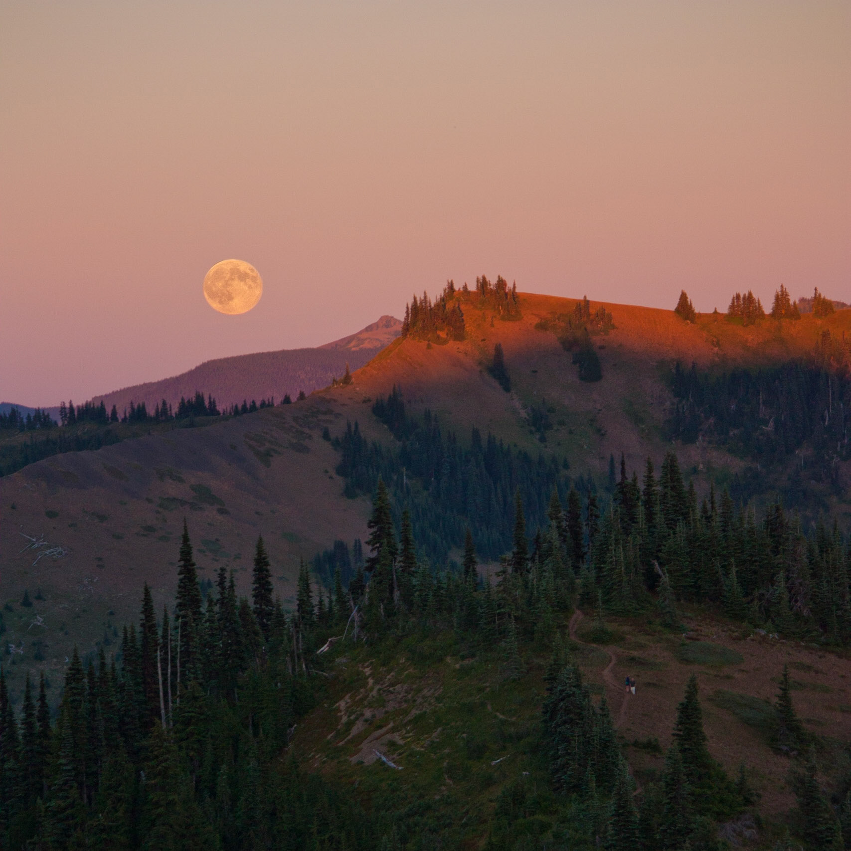 Photo was taken at Hurricane Ridge, Olympic Mountains, Washington State, USA during the supermoon.