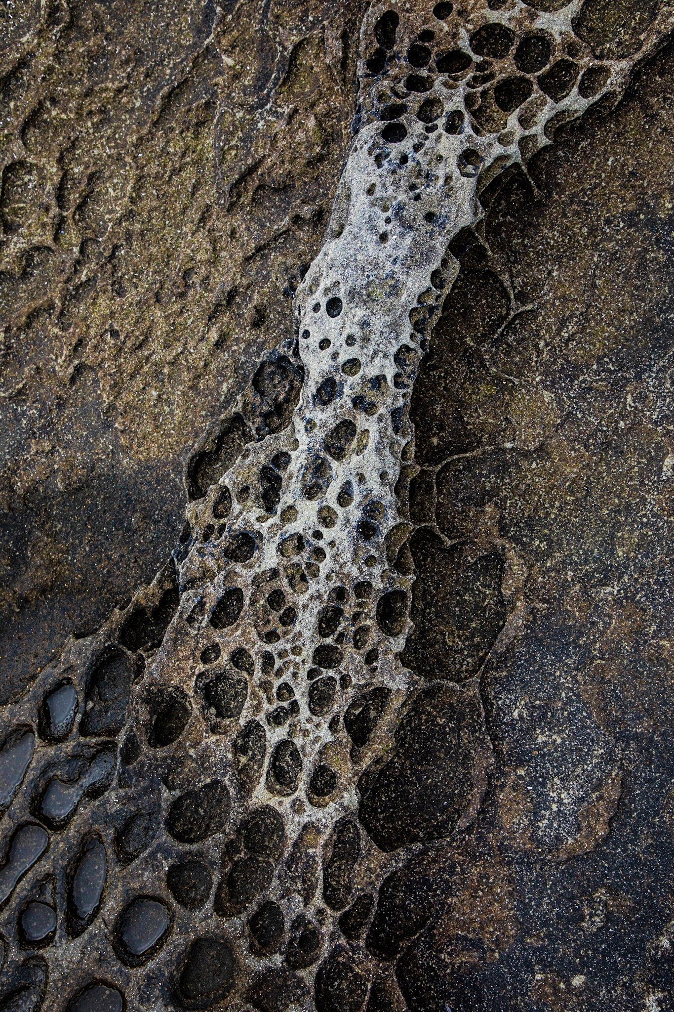 On Gabriola Island, sandstone gets weathered away creating  honeycomb or lace-like patterns called tafoni.