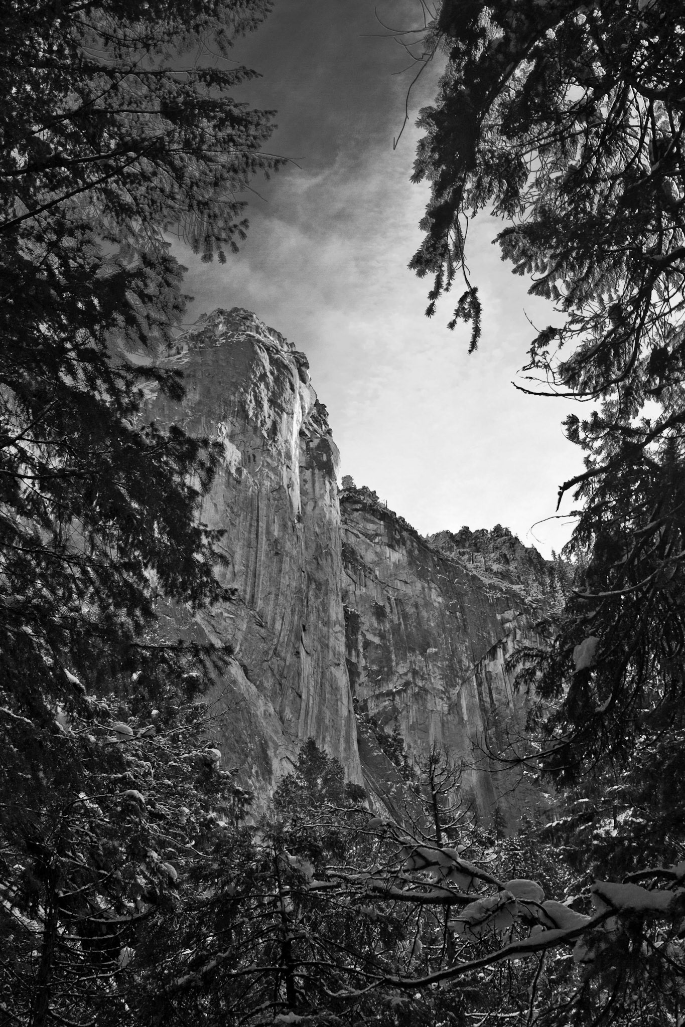 Winter covers El Capitan