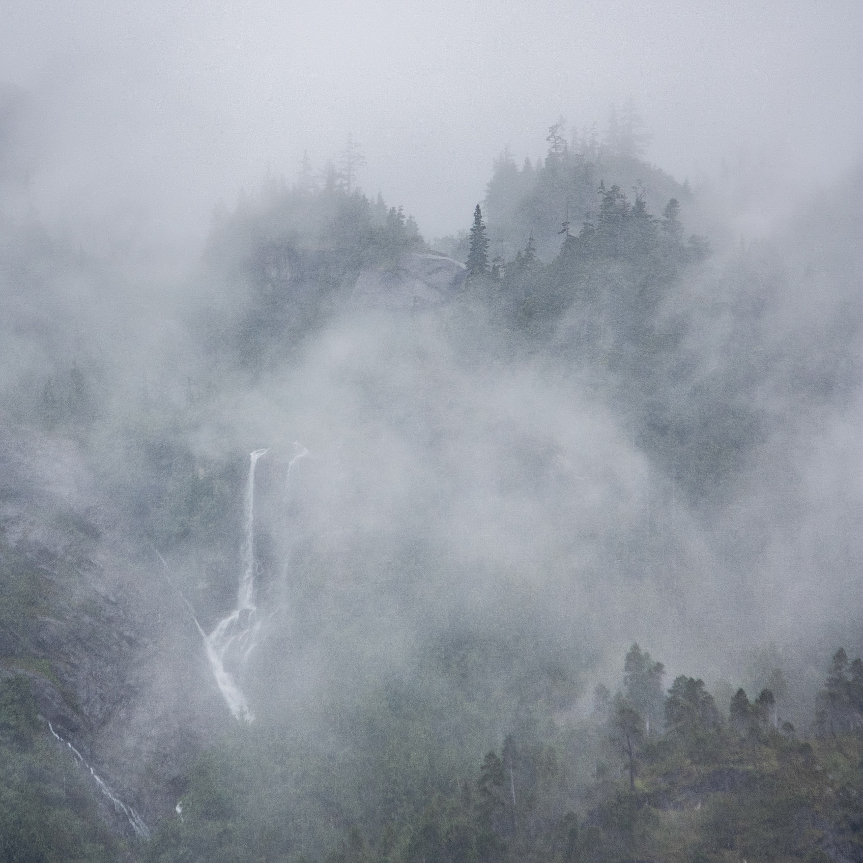 Photo was taken near Pelican, Southeast Alaska, USA.