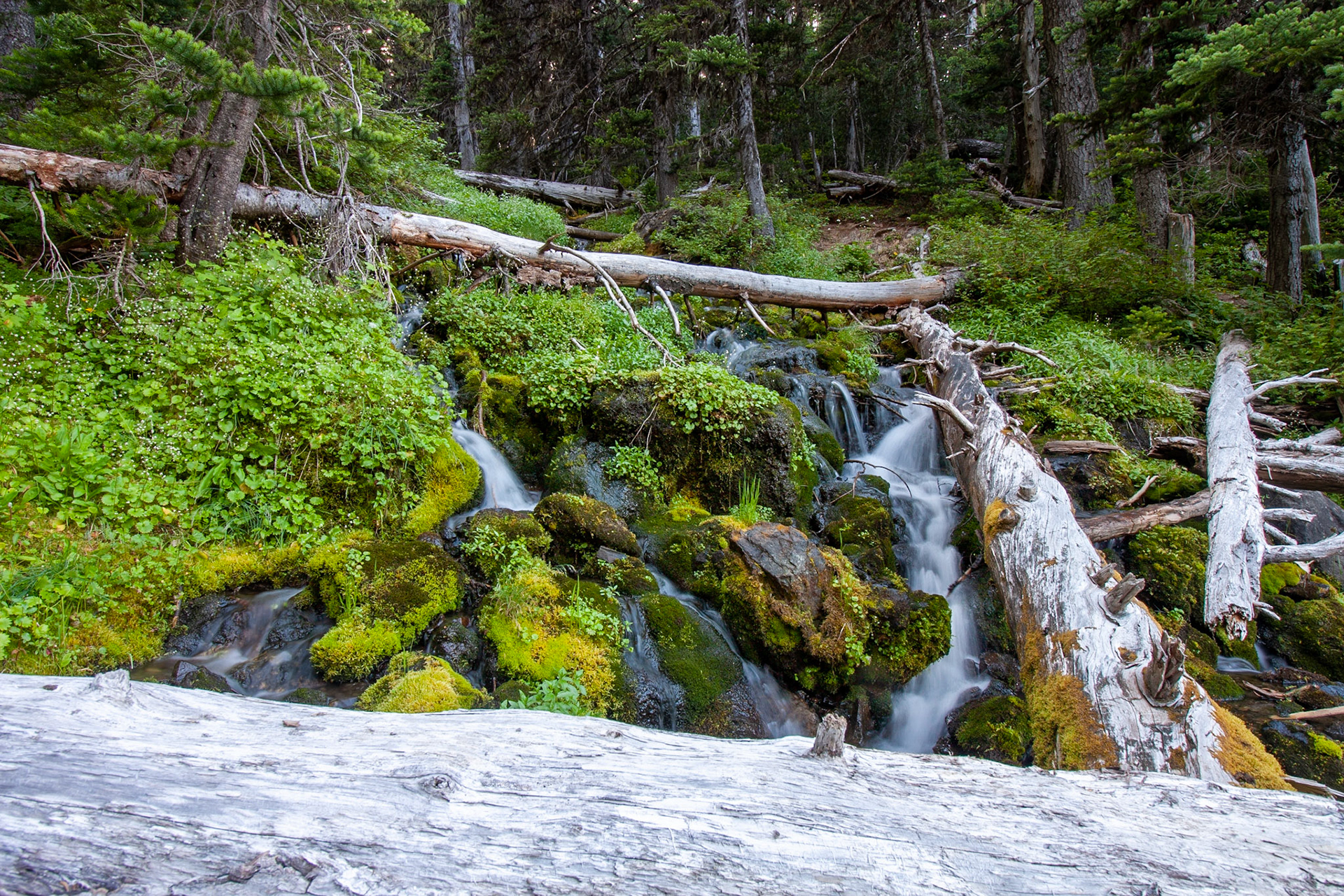 Water flows down from Marmot Pass in the Buckhorn WIlderness.