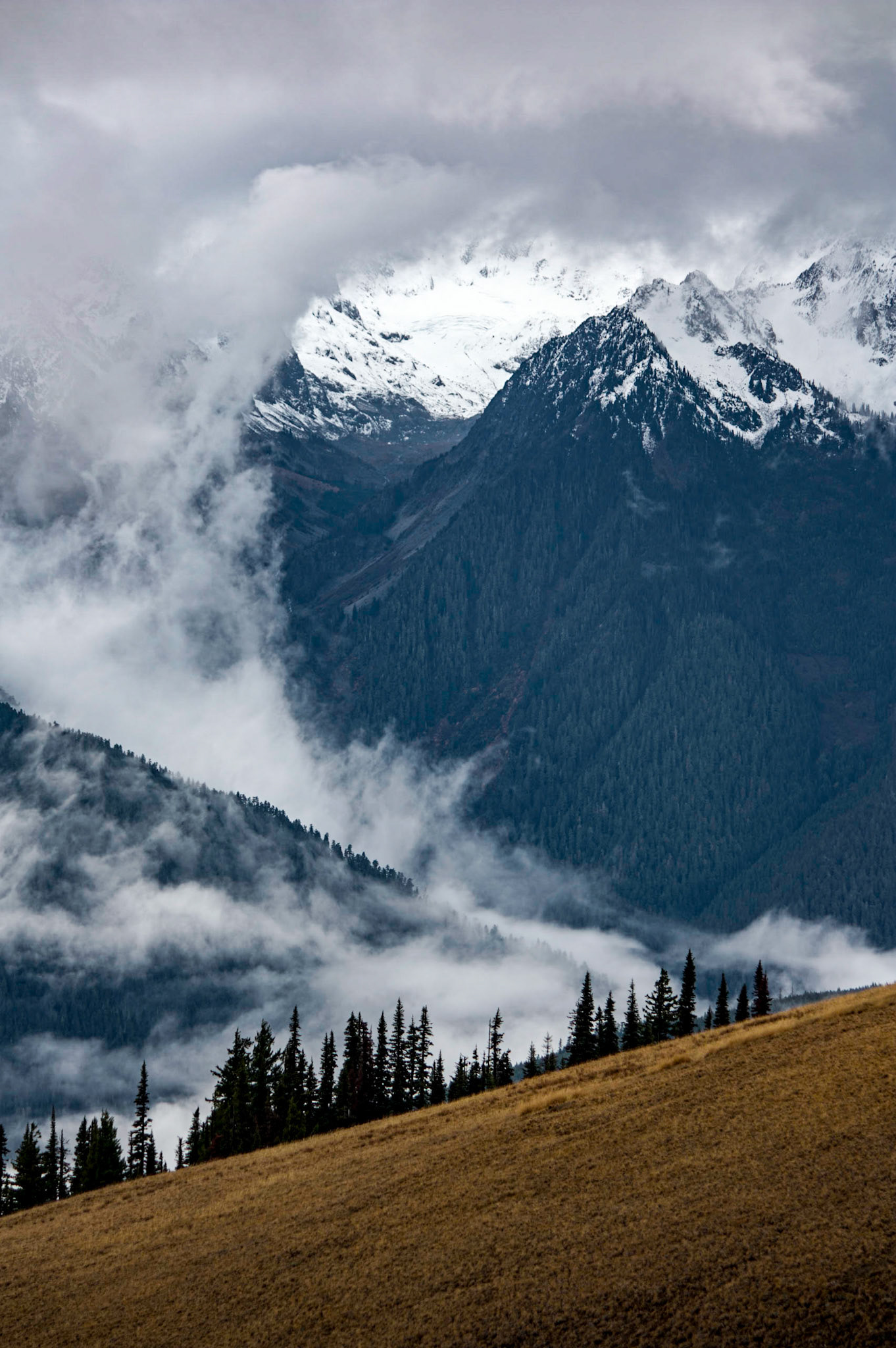 Photo was taken at Hurricane Ridge, Olympic Mountains, Washington State, USA.