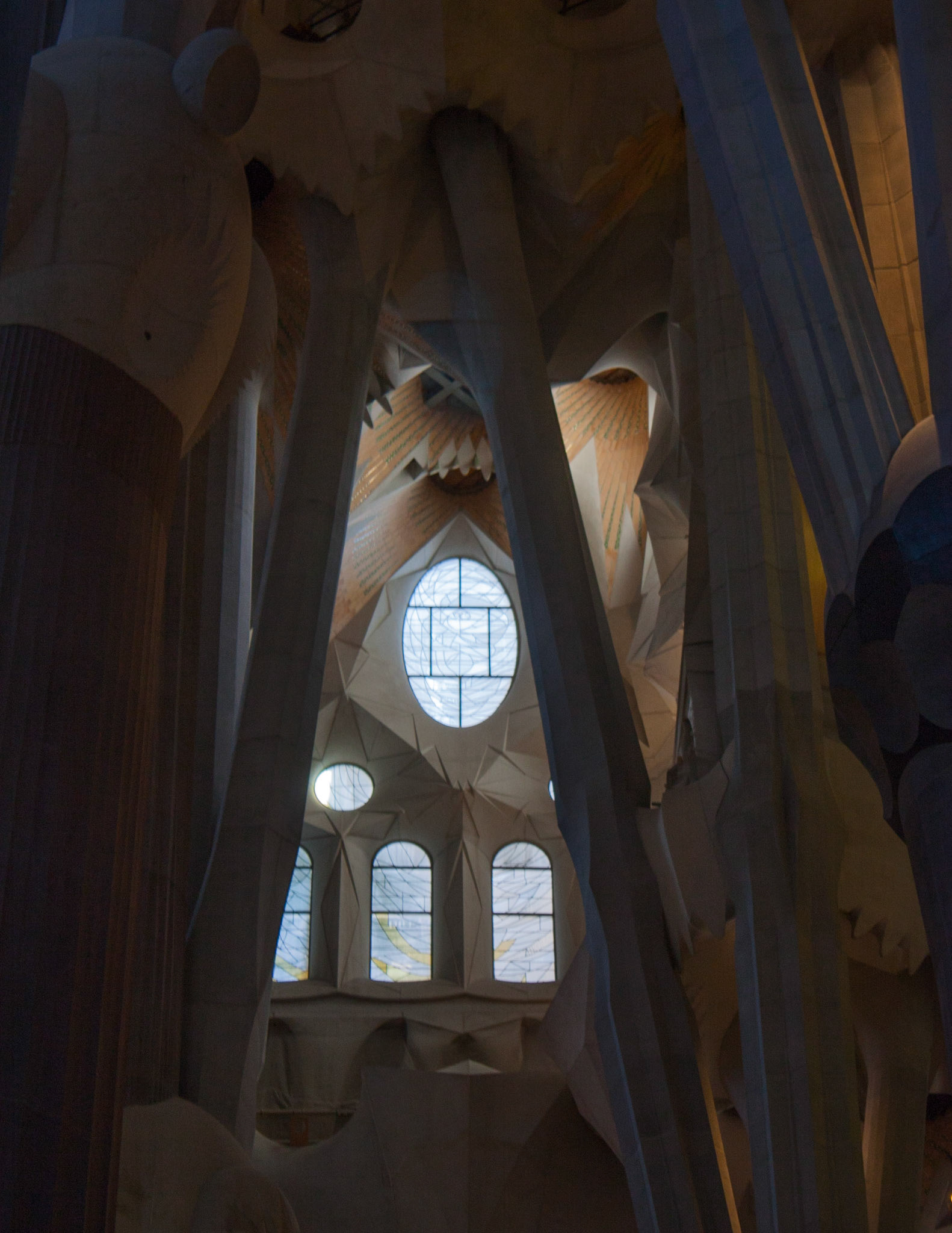 The ceiling of the Sagrada Familia in Barcelona, Spain.  The twelve symbols represent the Apostles.