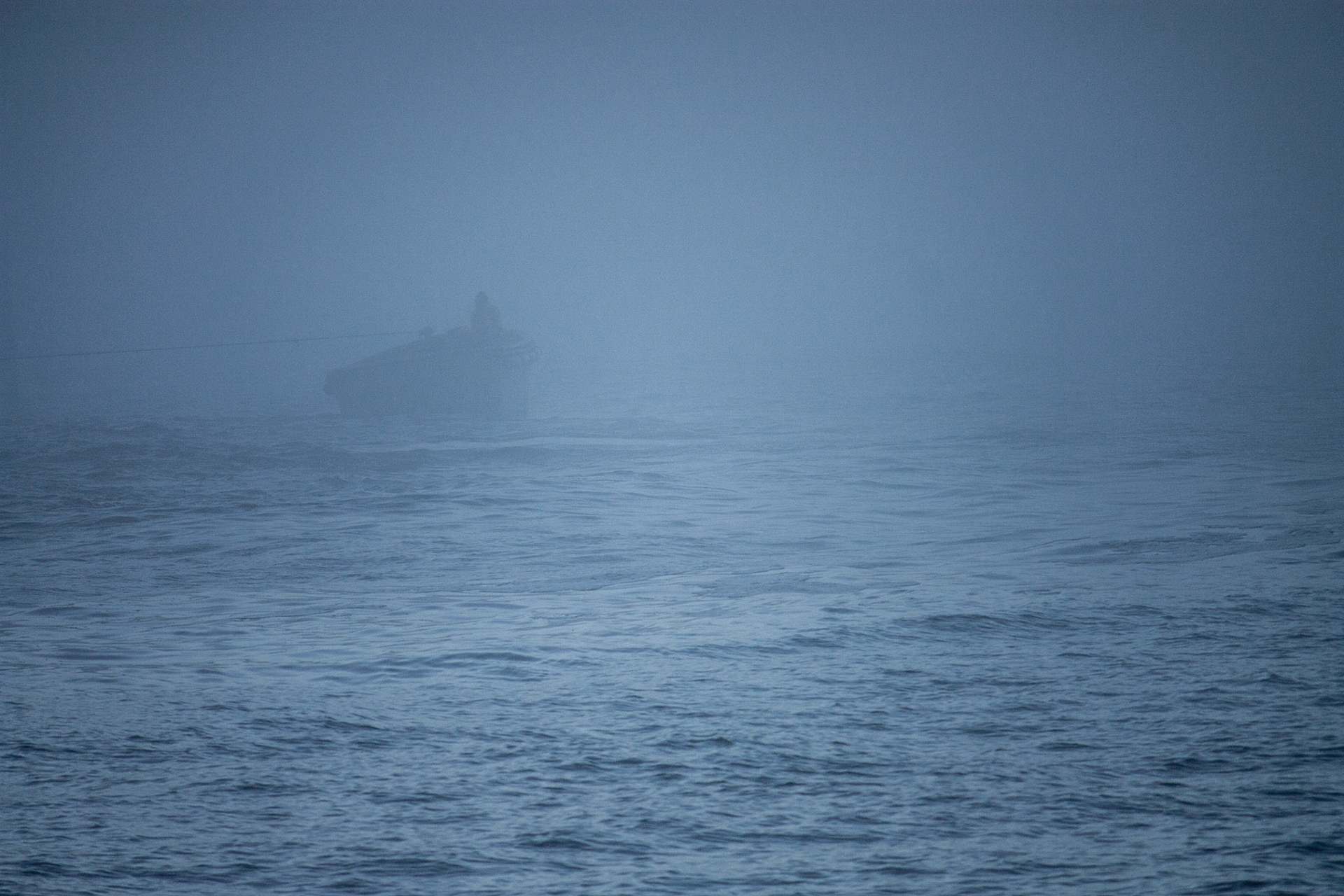 Photo was taken on Chatham Strait in Southeast Alaska, USA.