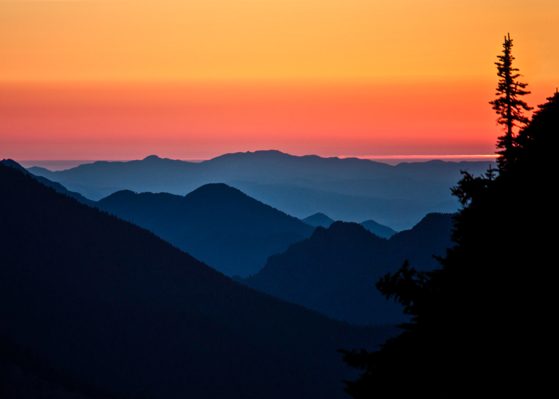 Photo was taken at Hurricane Ridge, Olympic Mountains, Washington State, USA.