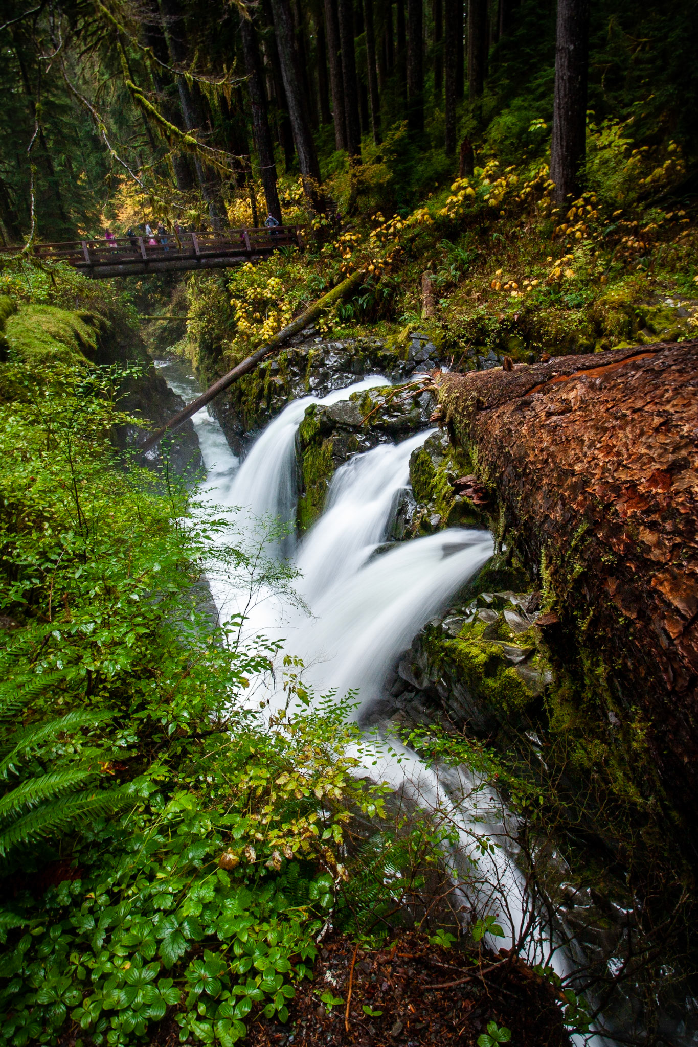 The Sol Duc River flows into the canyon below.