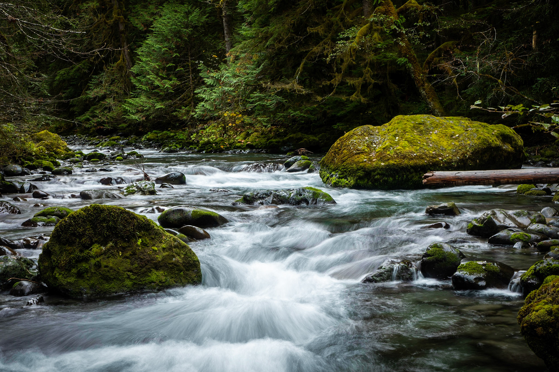 The Grey Wolf River Flows down from the Olympic Mountains to the ocean close below.