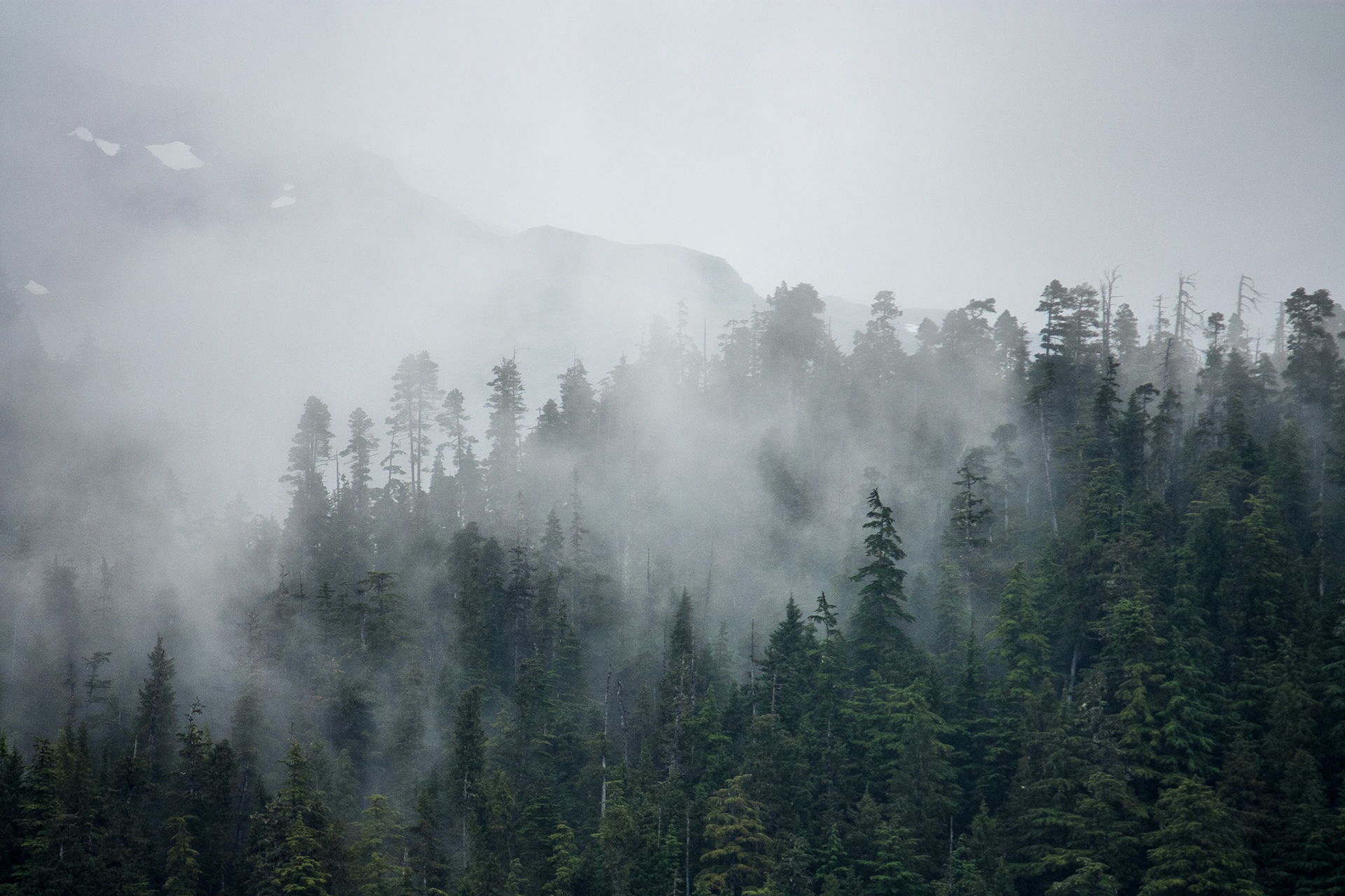 Photo was taken on Chatham Strait in Southeast Alaska, USA.