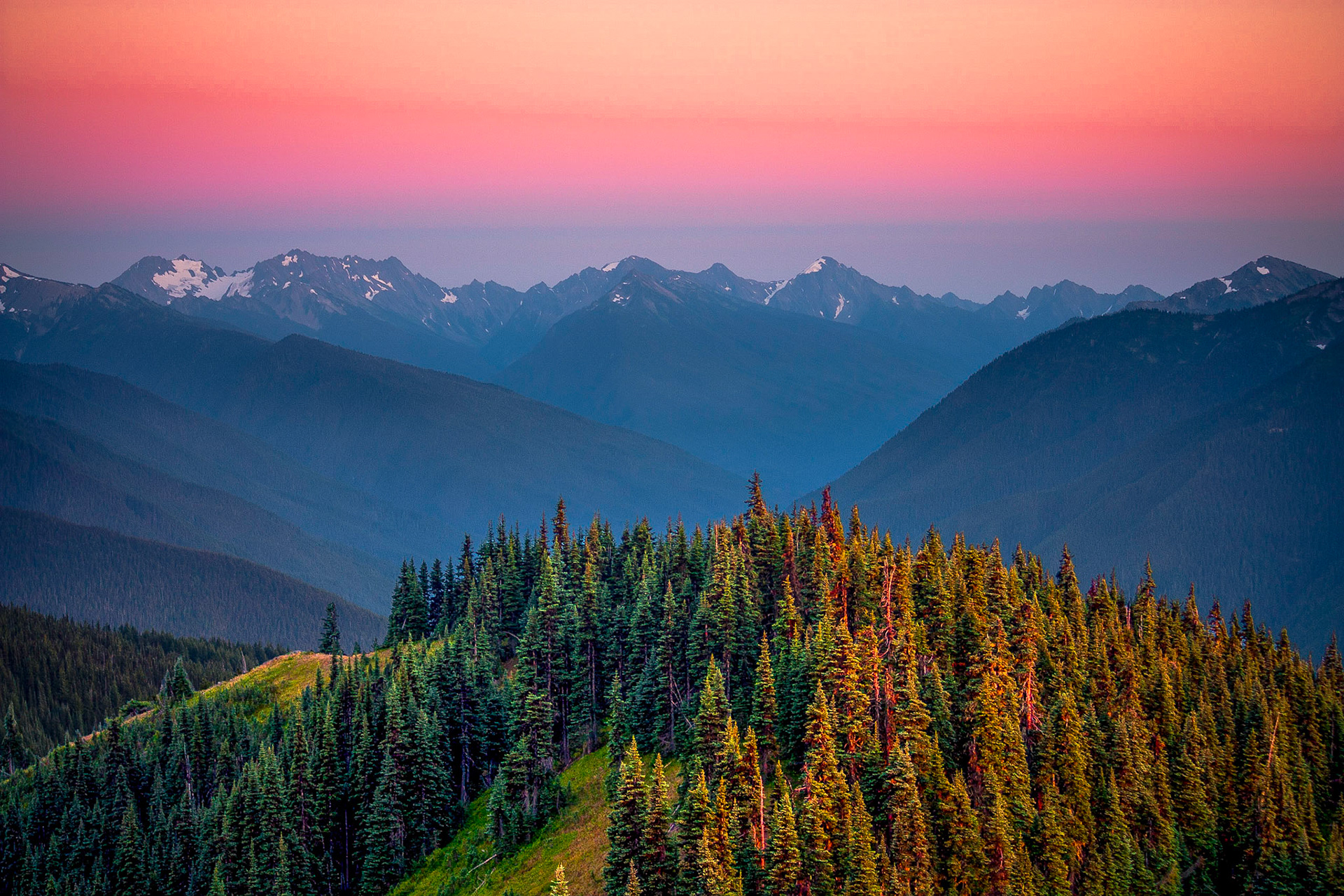 Photo was taken at Hurricane Ridge, Olympic Mountains, Washington State, USA.