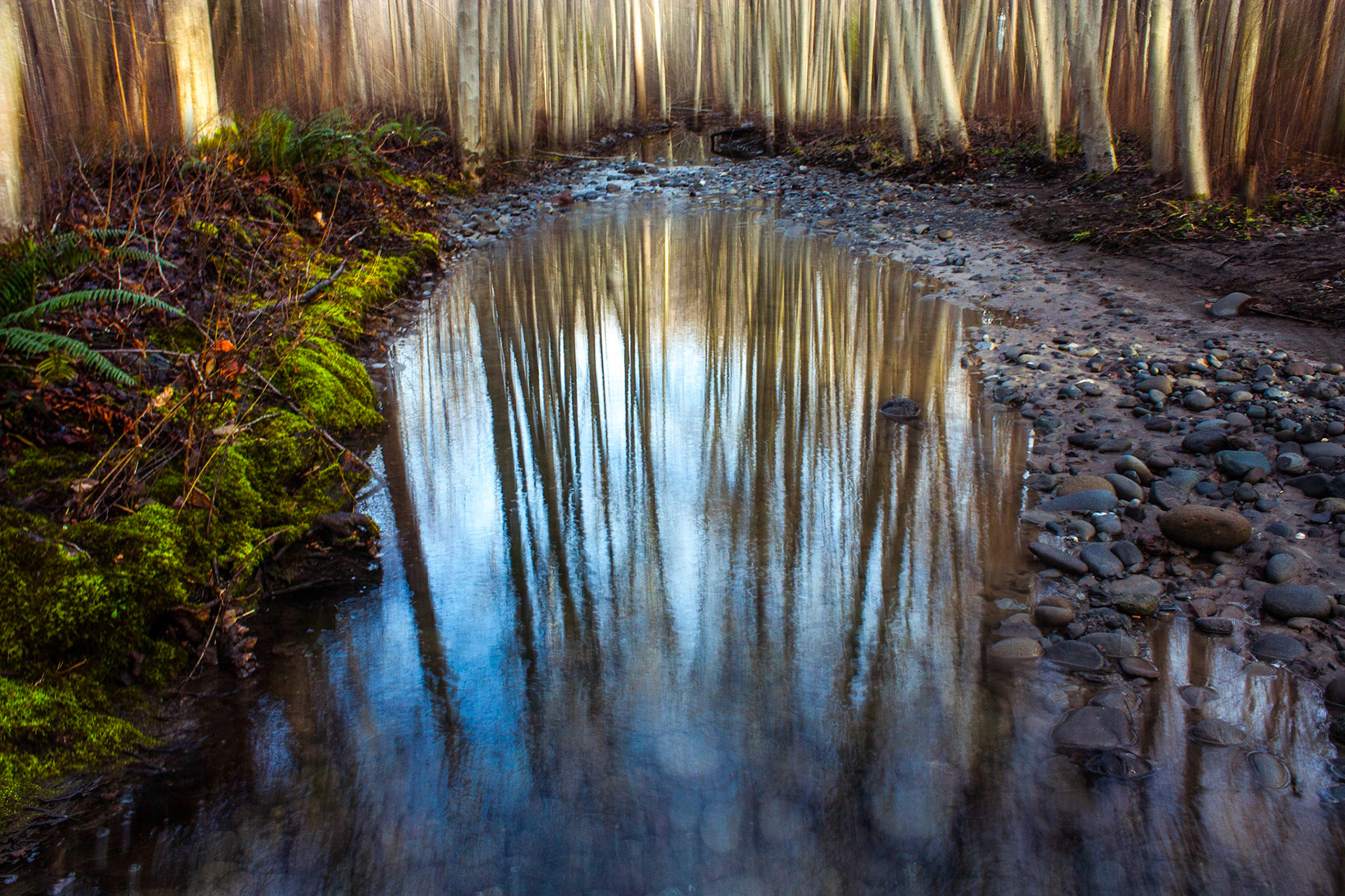 This photo is a composite of two shots: a still shot and a shot panning vertically.  I haven't done this type of photograph before so I though I would try my hand at it.