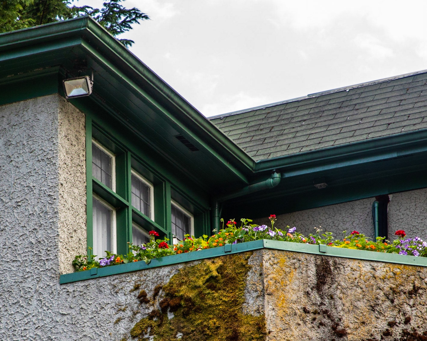 Photo was taken at Butchart Gardens on Vancouver Island, British Columbia.