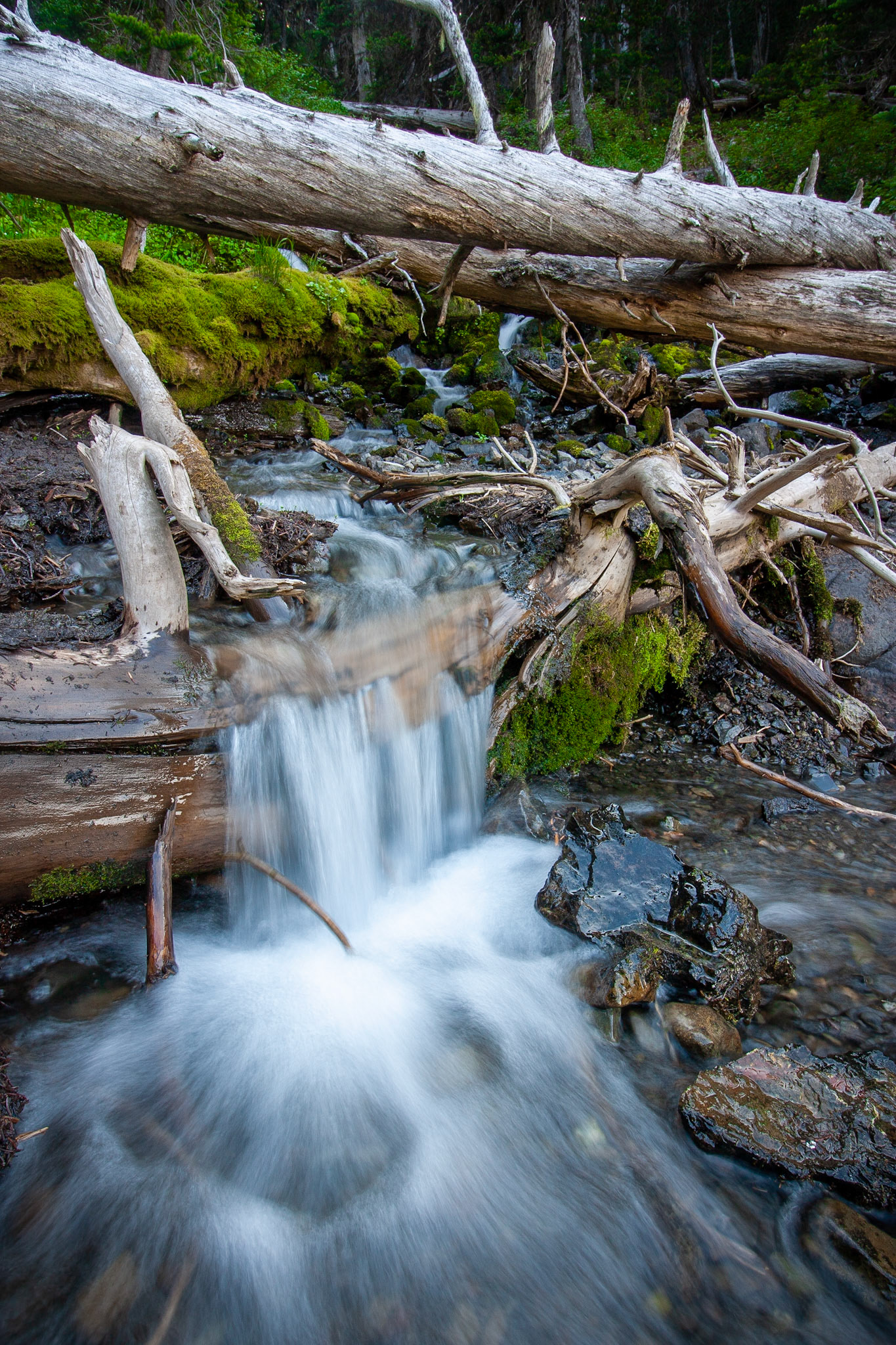 Water flows down from Marmot Pass in the Buckhorn WIlderness.