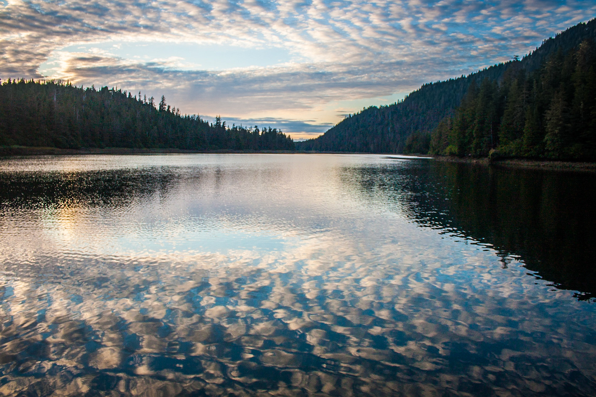 Photo was taken in Gedney Harbor, Kuiu Island,Southeast Alaska, USA.