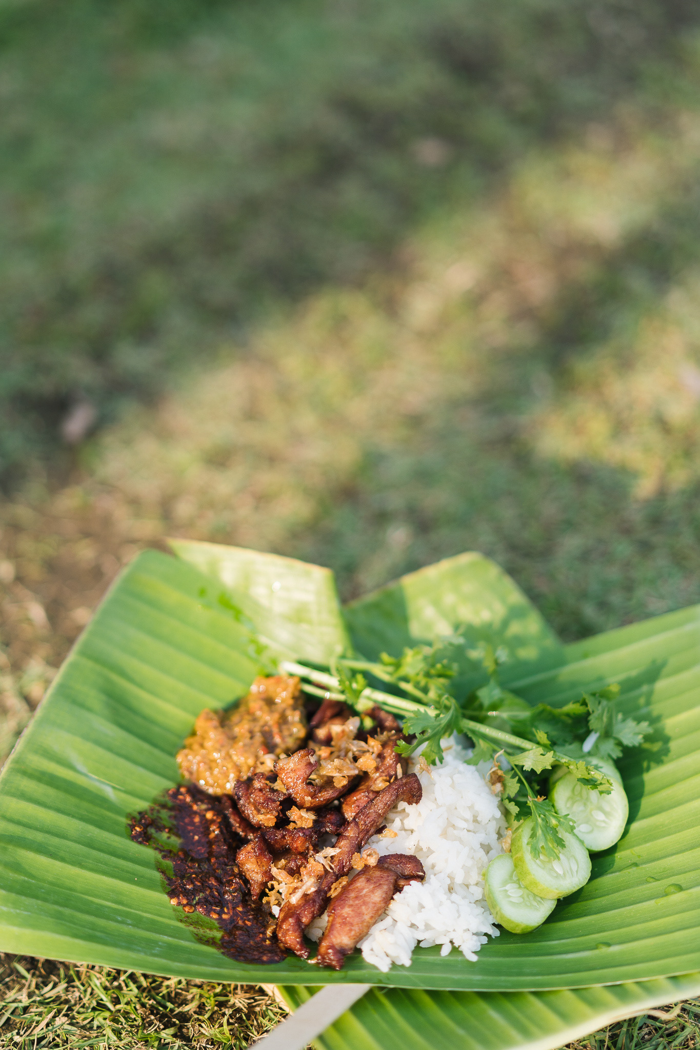Fried pork with garlic on rice from a shop in Baankangwat