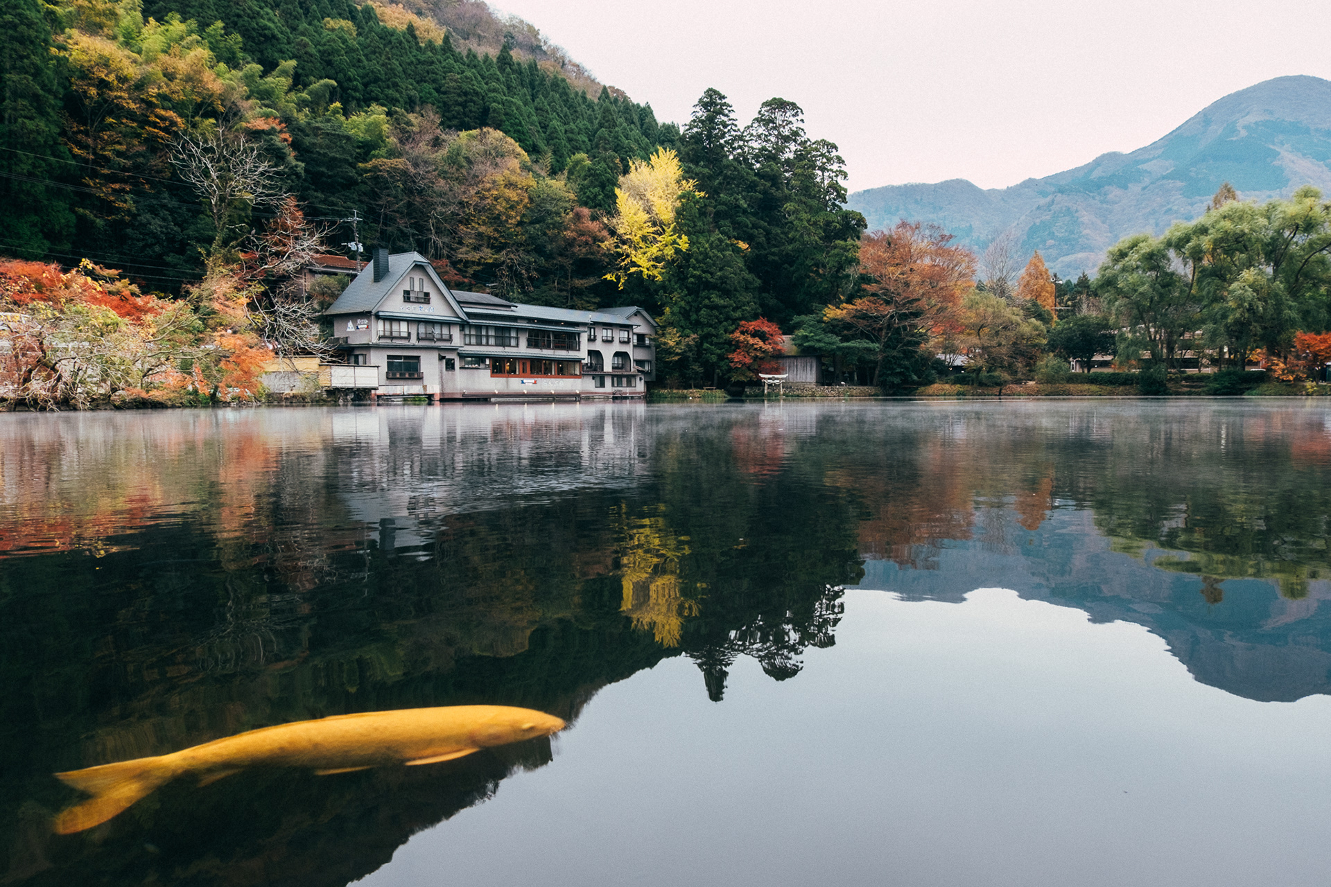 Kirin Lake with Golden Fish in Autumn Season