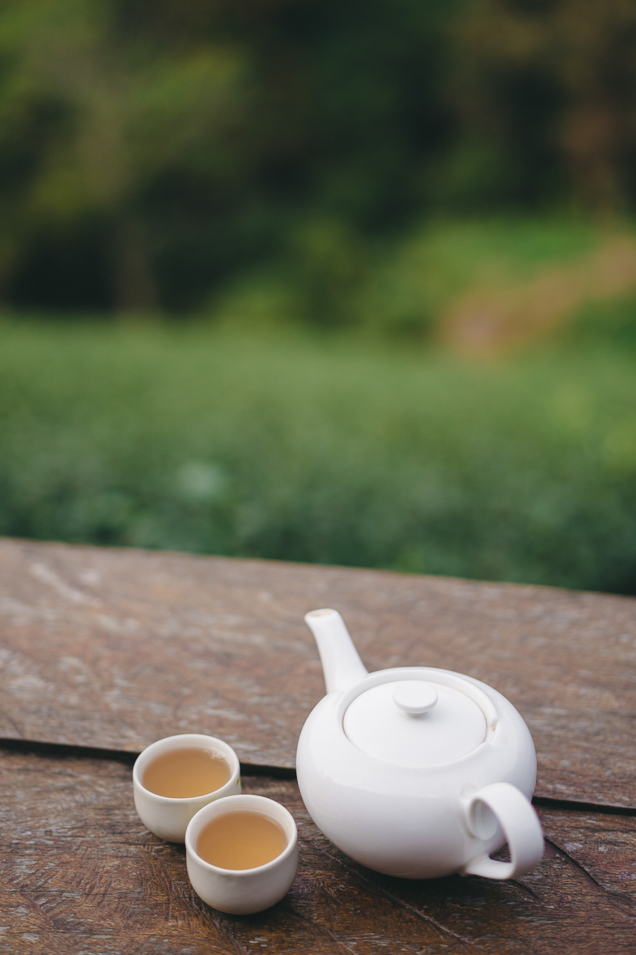 Pouring hot green tea at Lung Dech tea farm