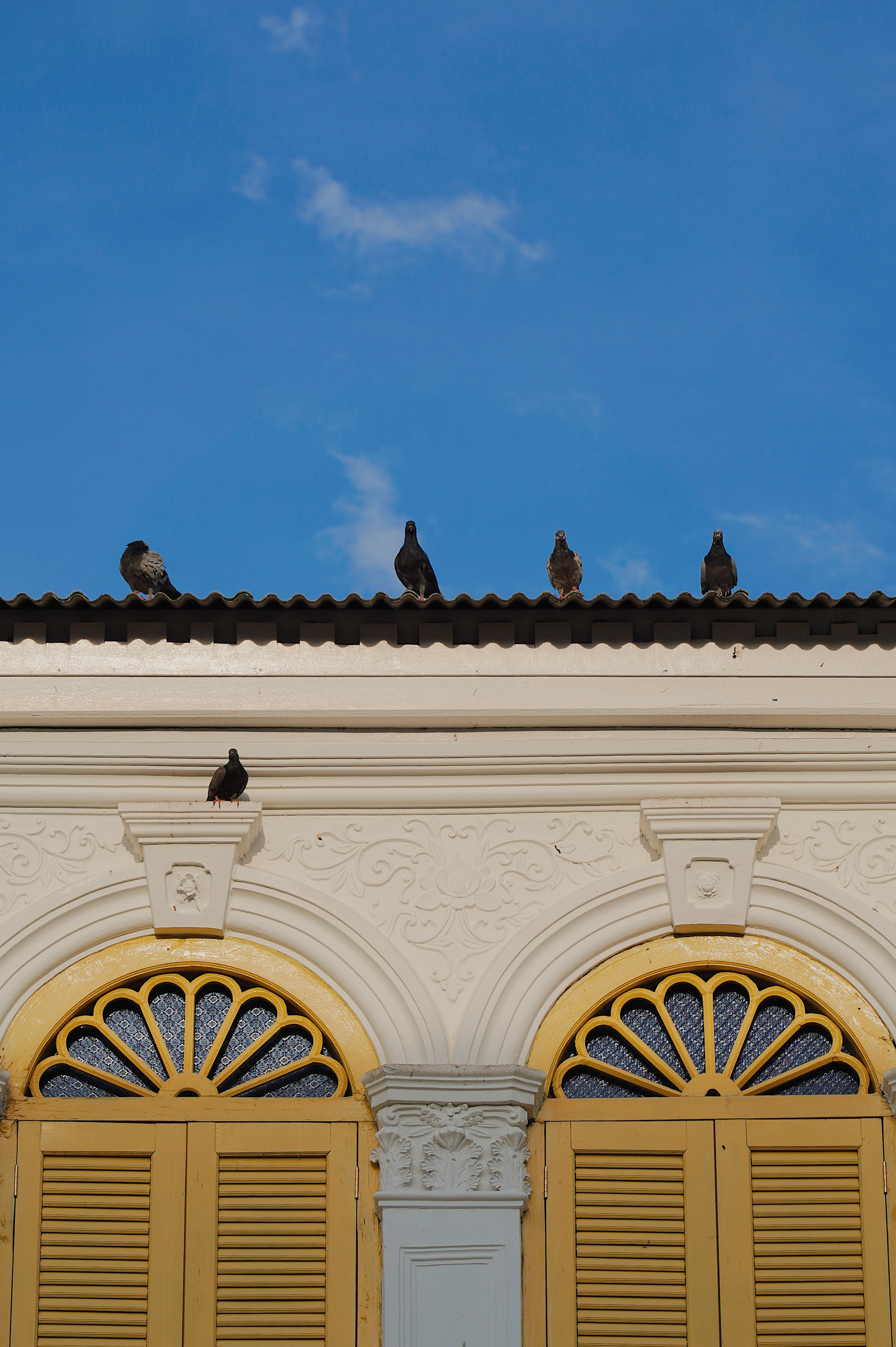 Nature Photography in a Simple Perspective