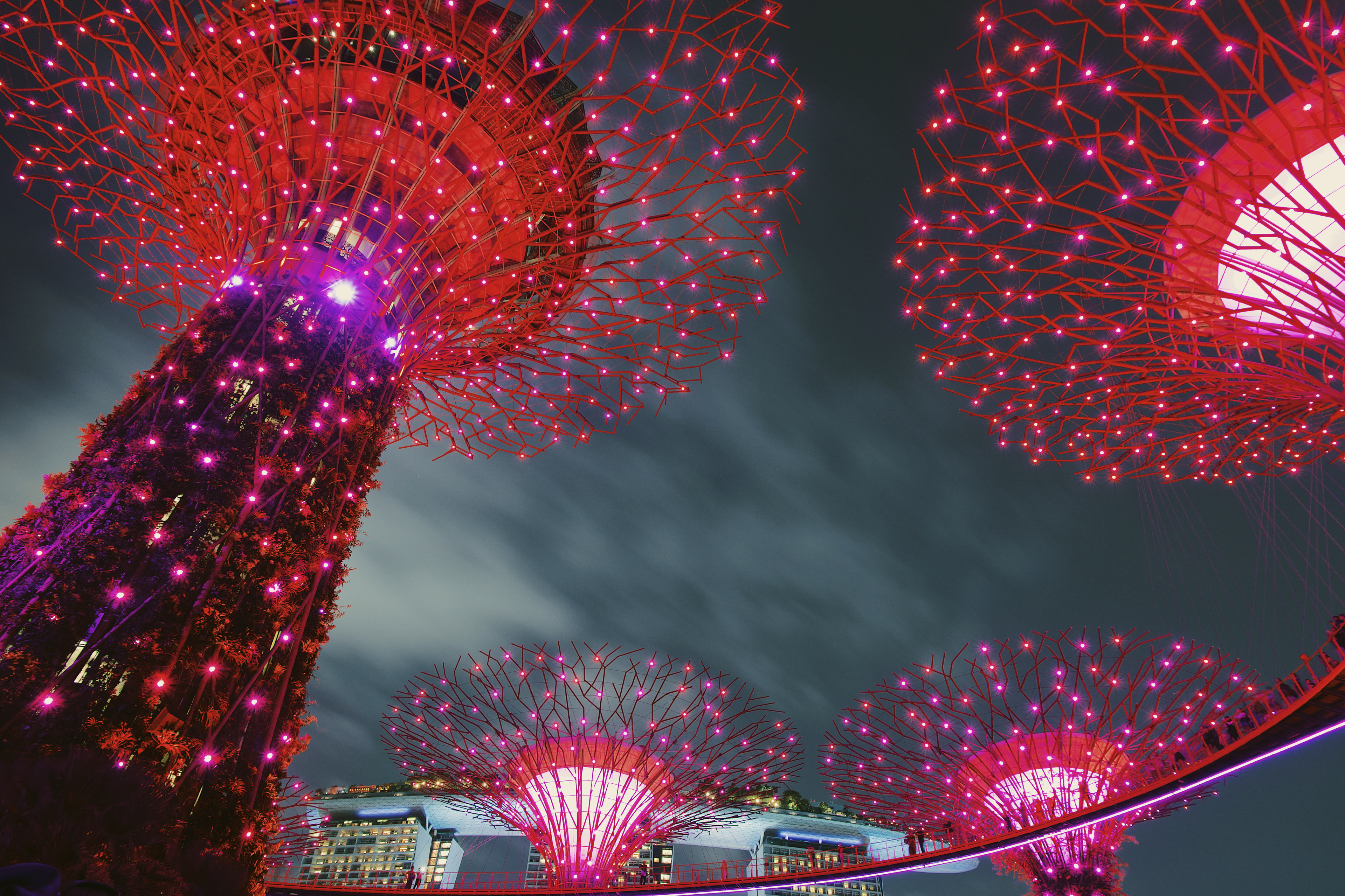 Supertree Grove at Garden by the Bay