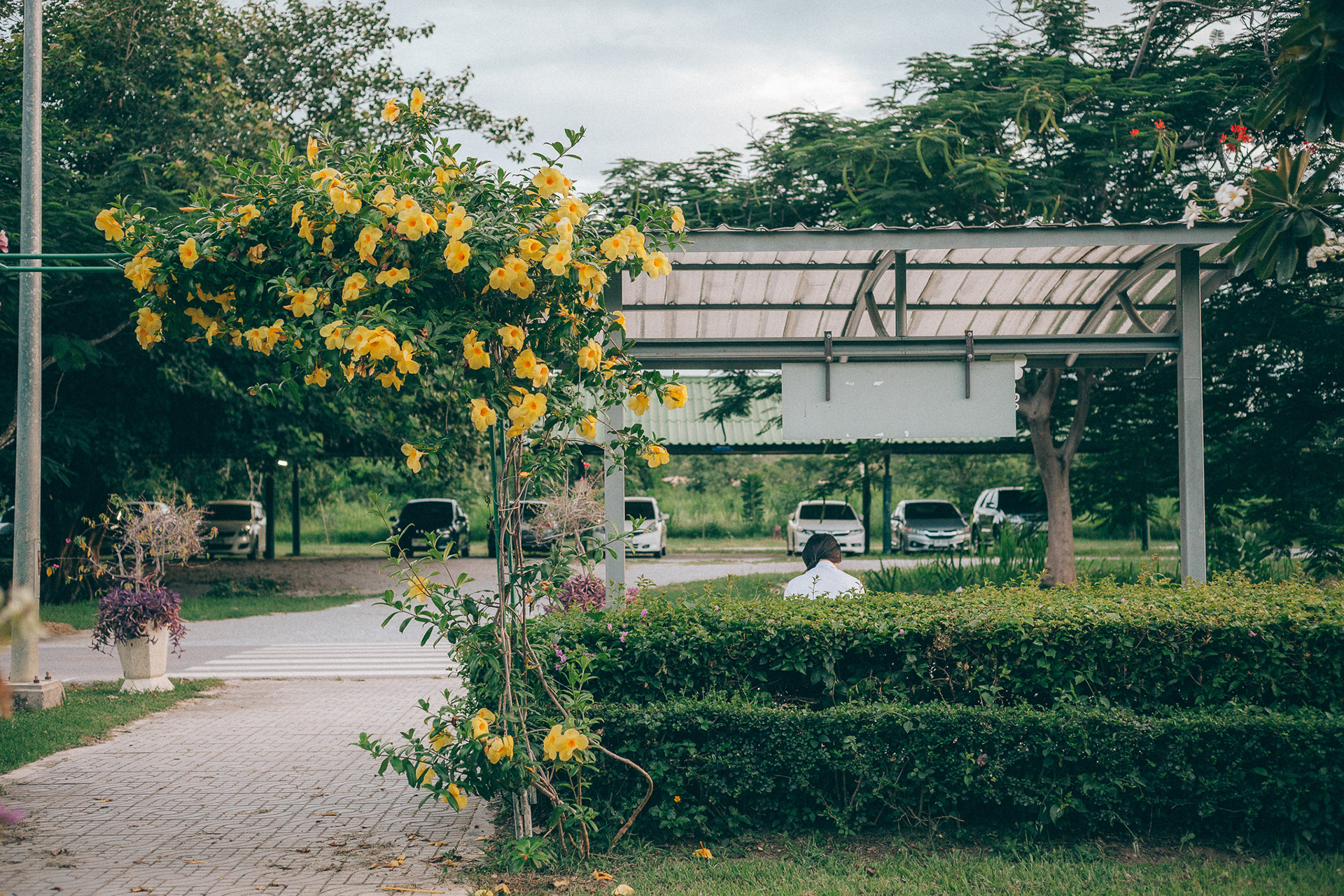 Students waiting for the university bus