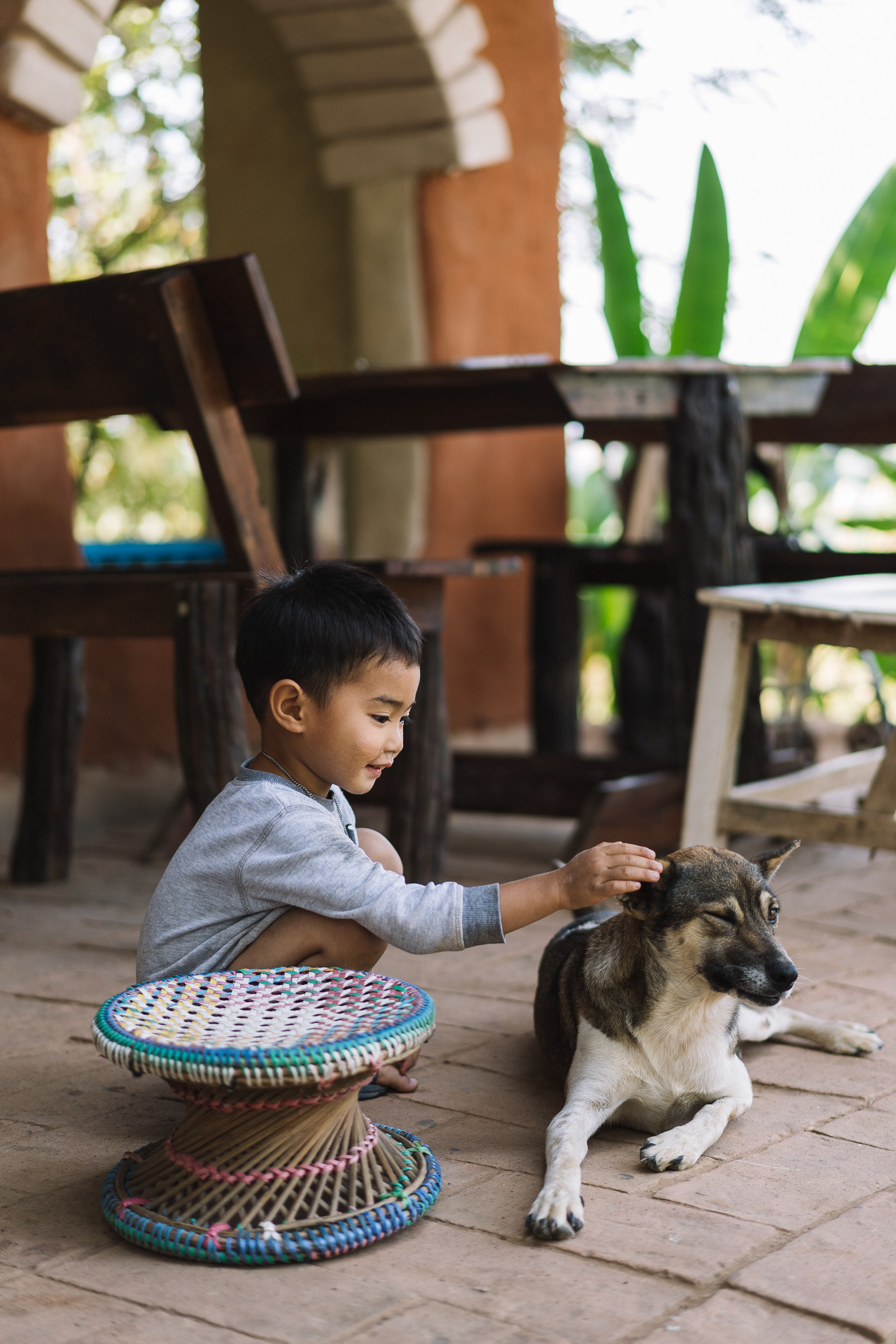 A child is happily playing with a puppy.