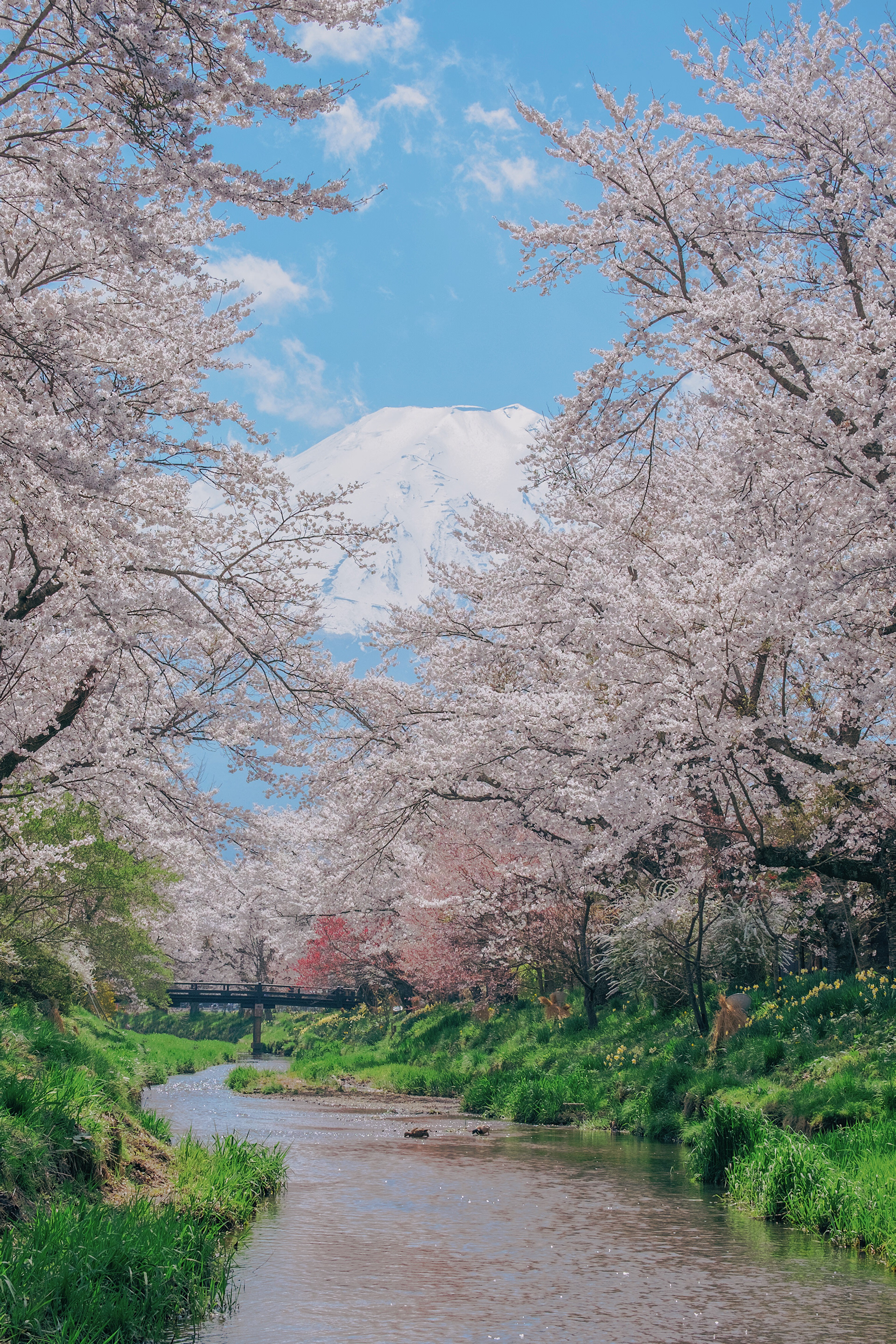 Mount Fuji at Oshino Hakkai Village in the morning