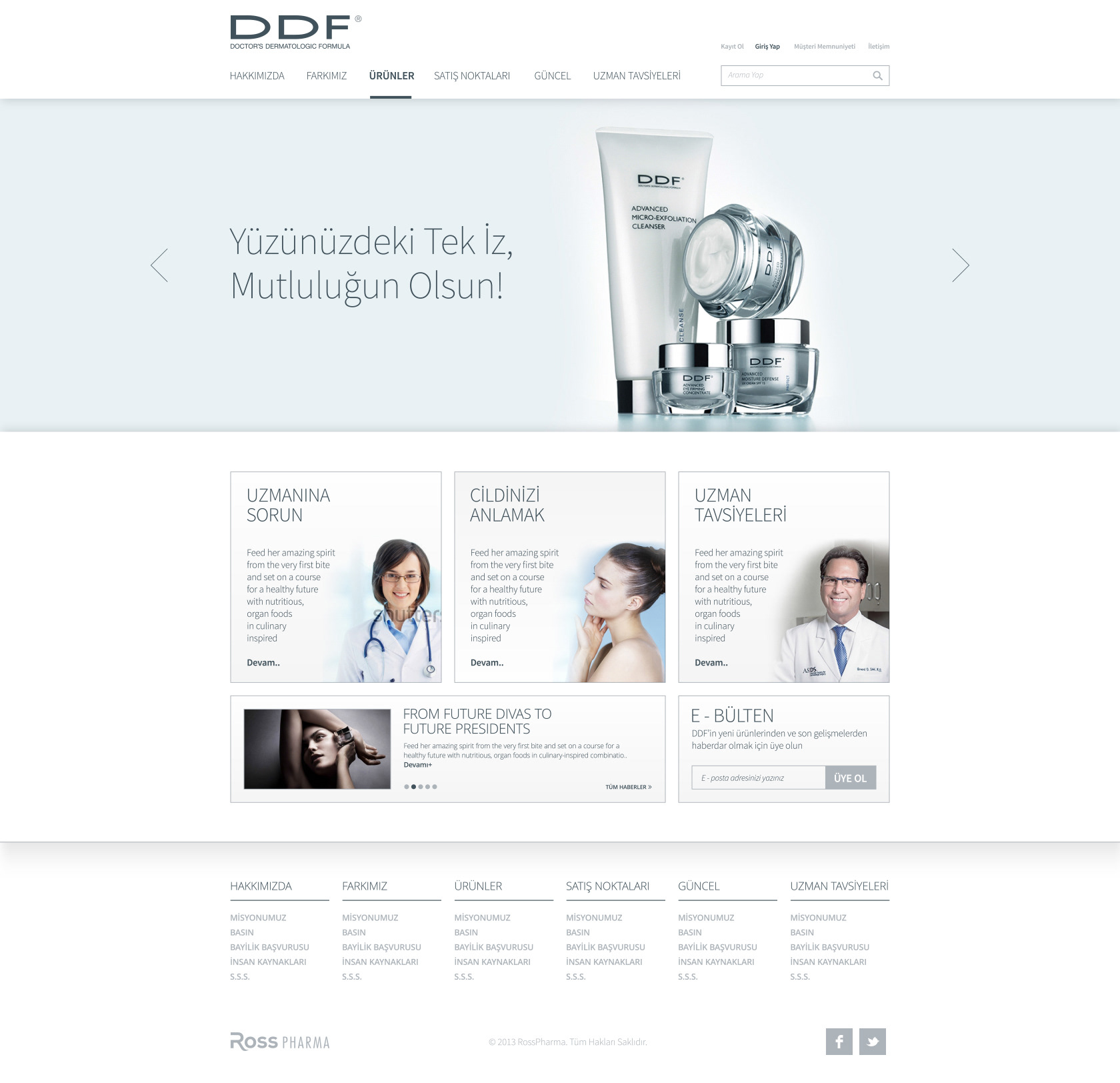 ddf - 2013