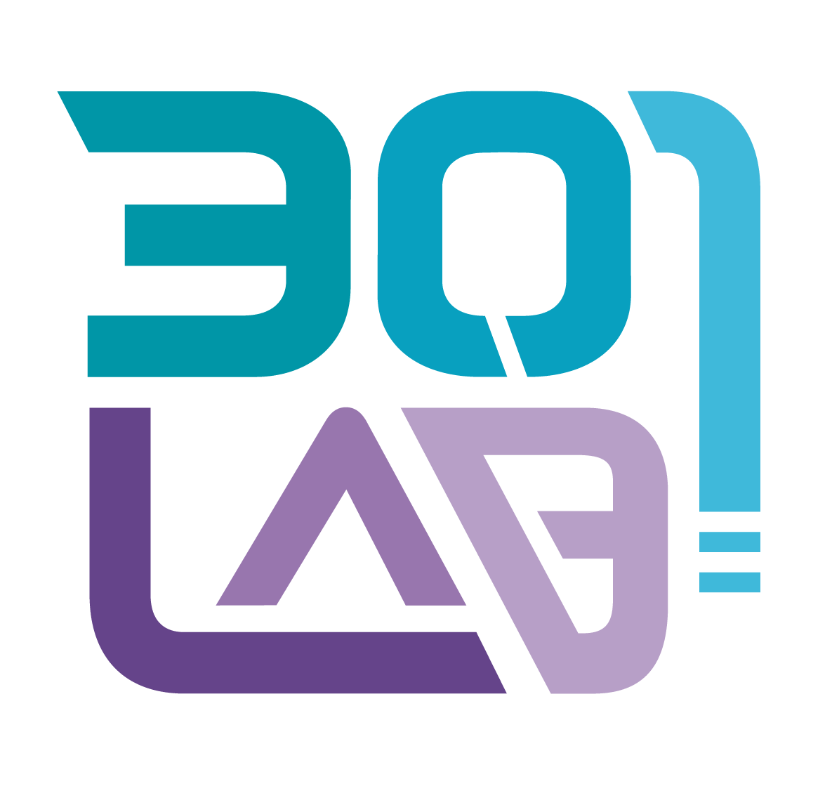 301 Lab