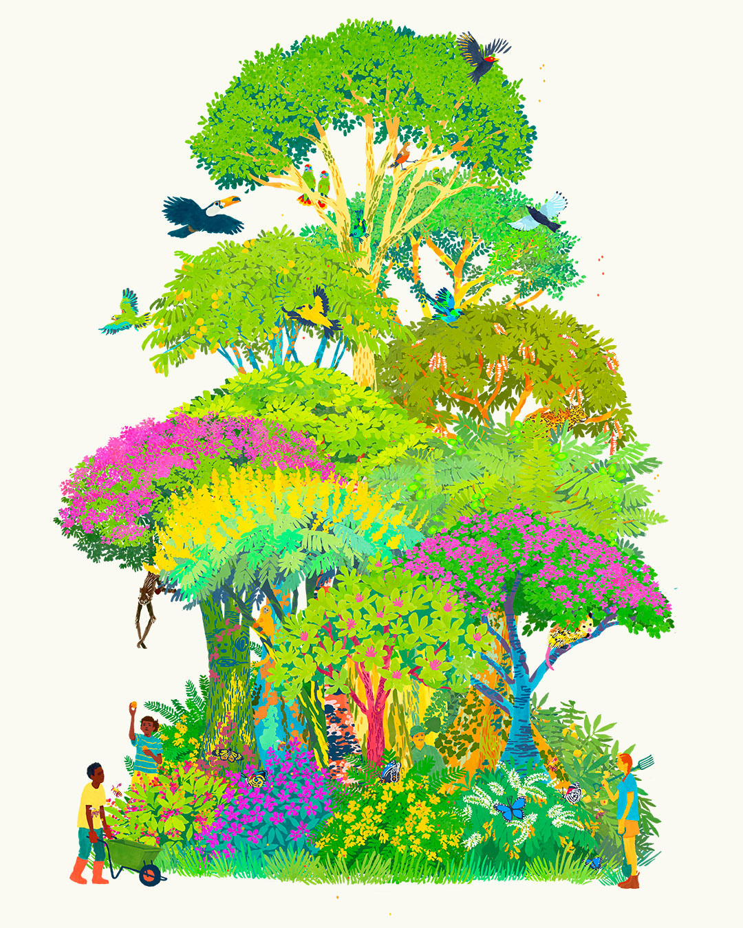 Brazilian Forest illustration palette