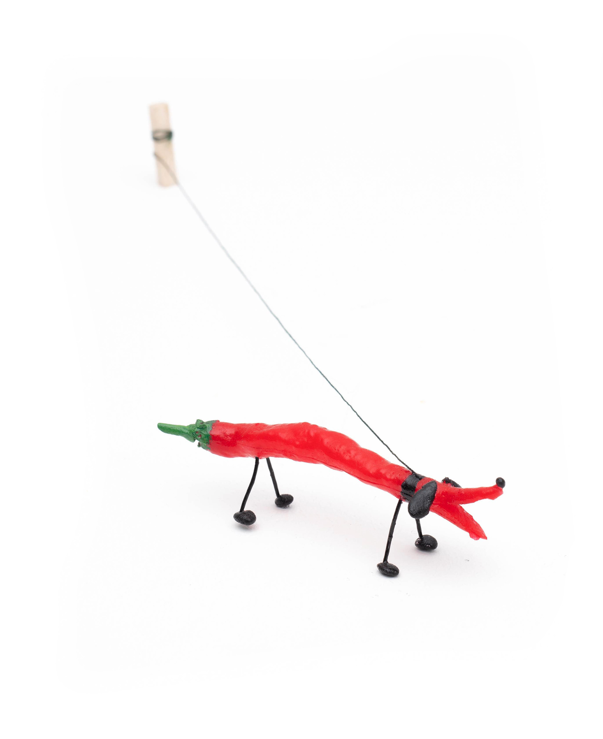 Very Hot Dog, 2019