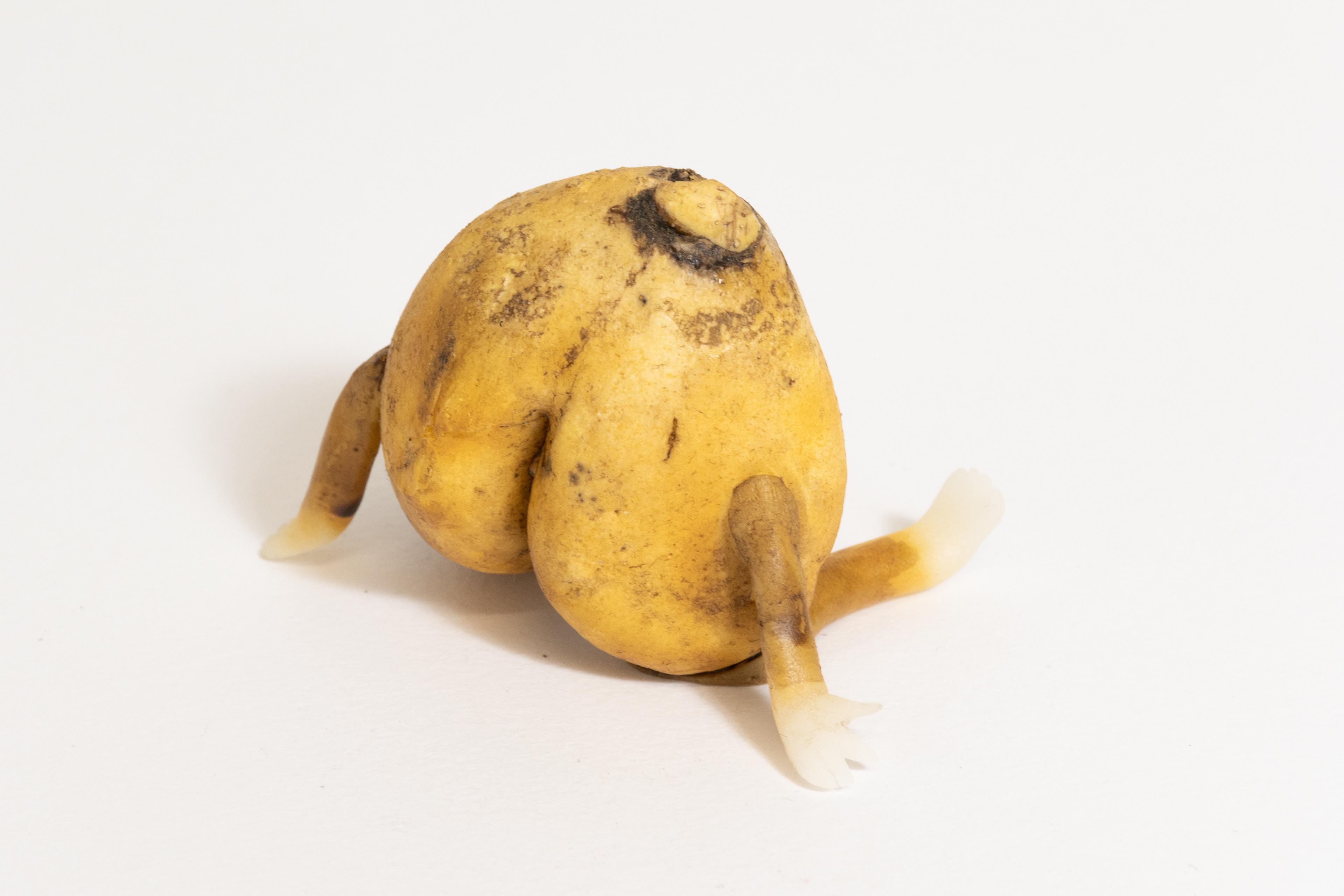 Butt Potato Sitting, 2023