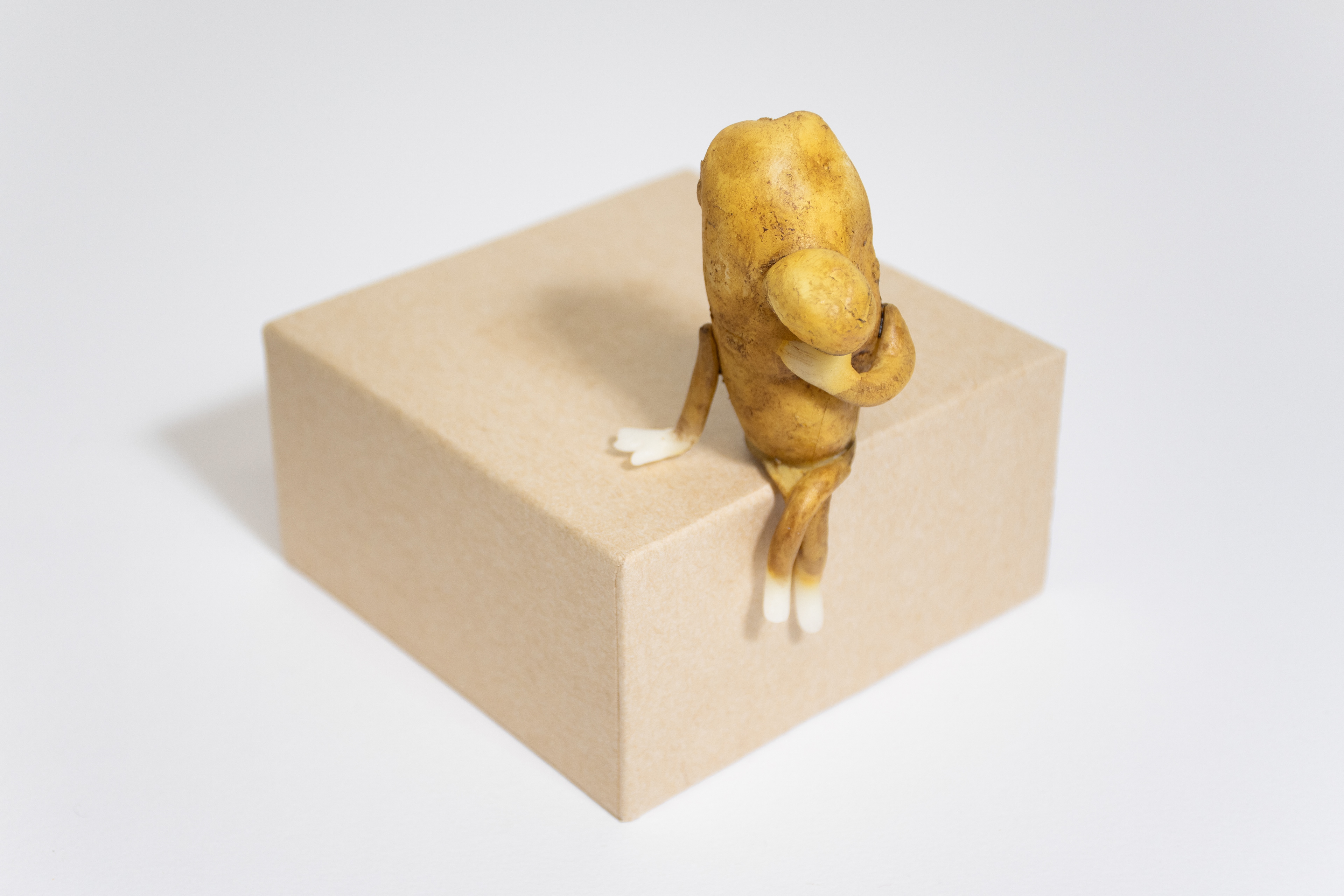 Nose Potato Thinking, 2023