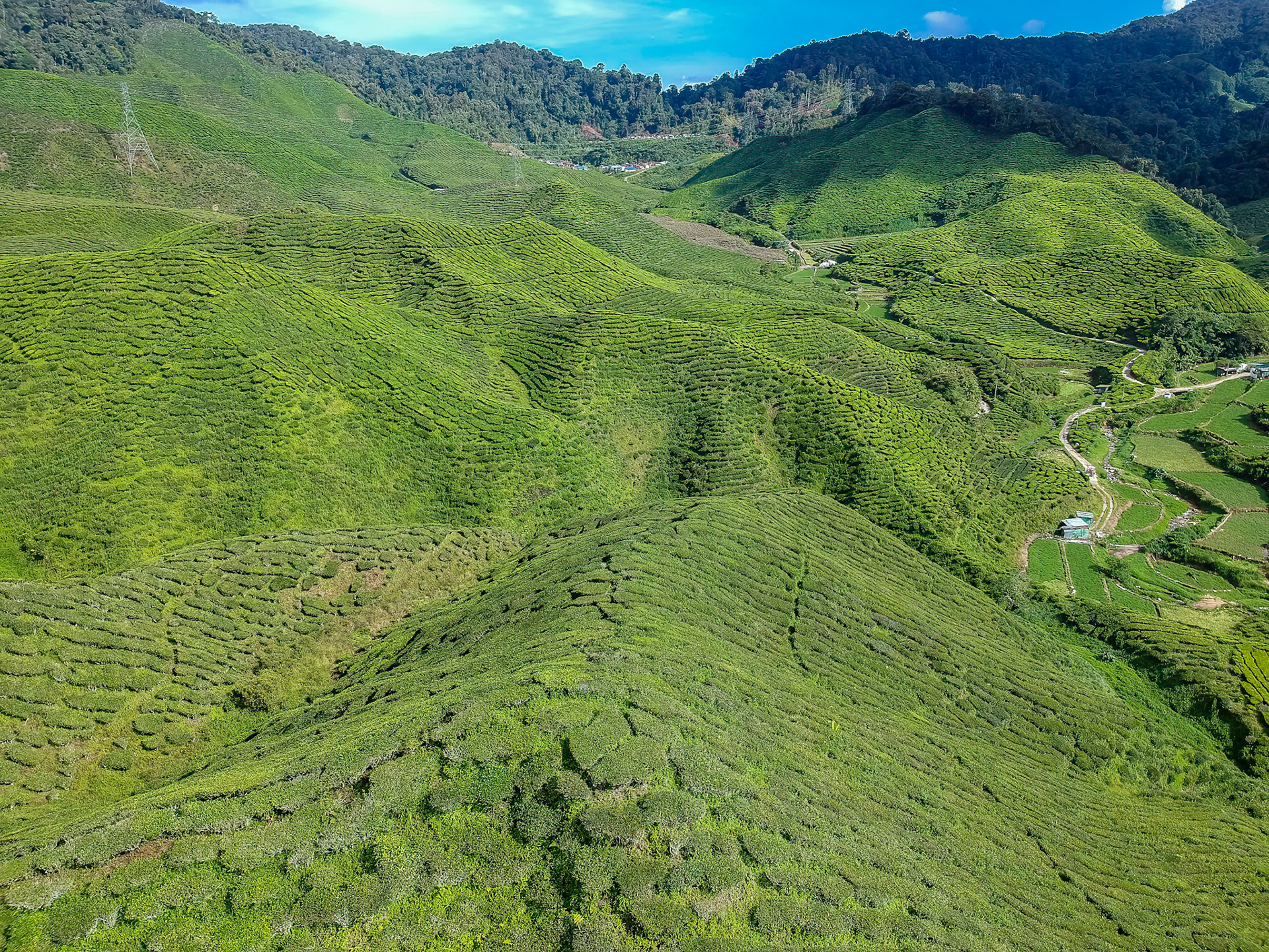 DCIM/100MEDIA/DJI_0099.JPG