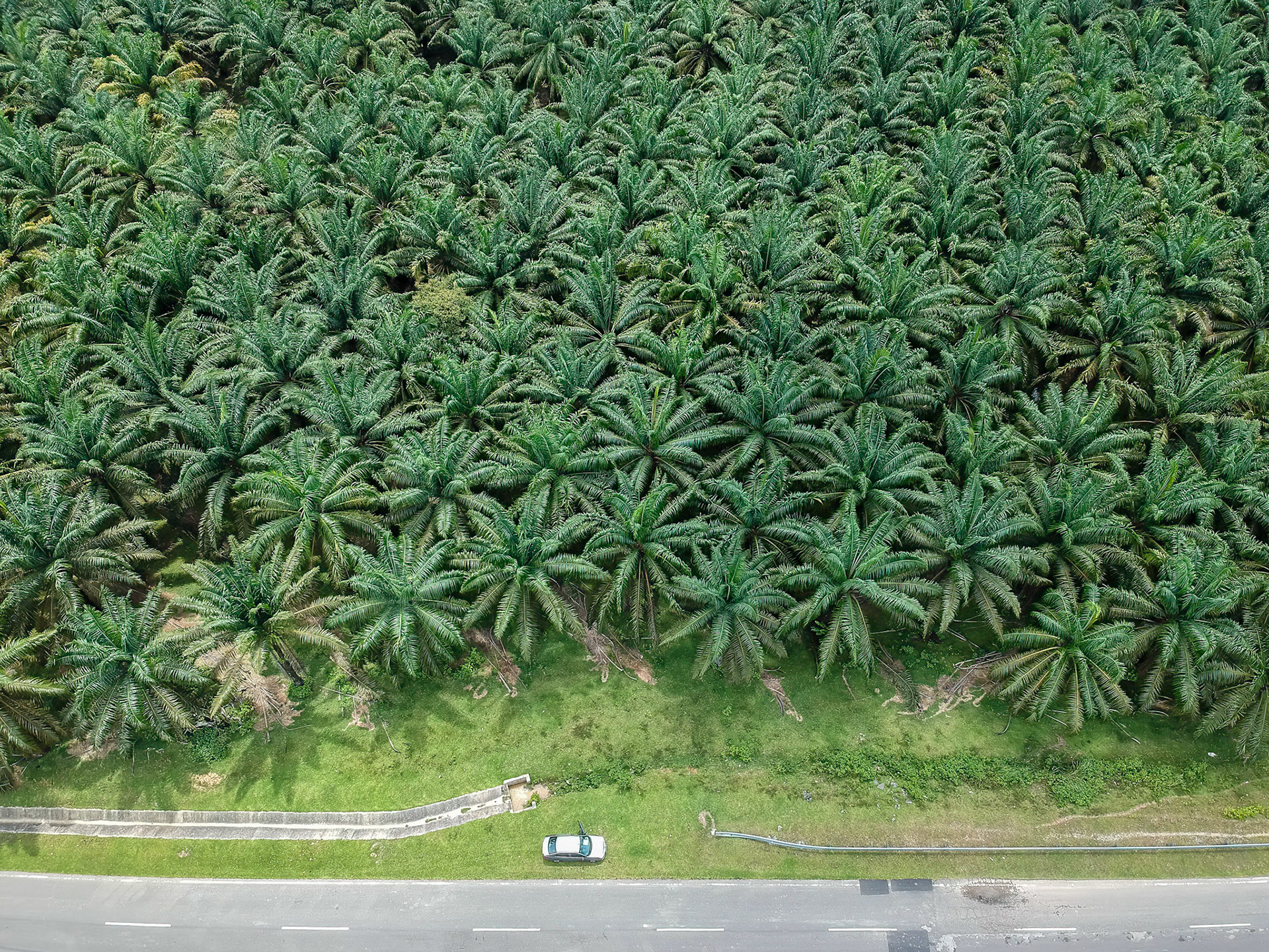 DCIM/100MEDIA/DJI_0105.JPG