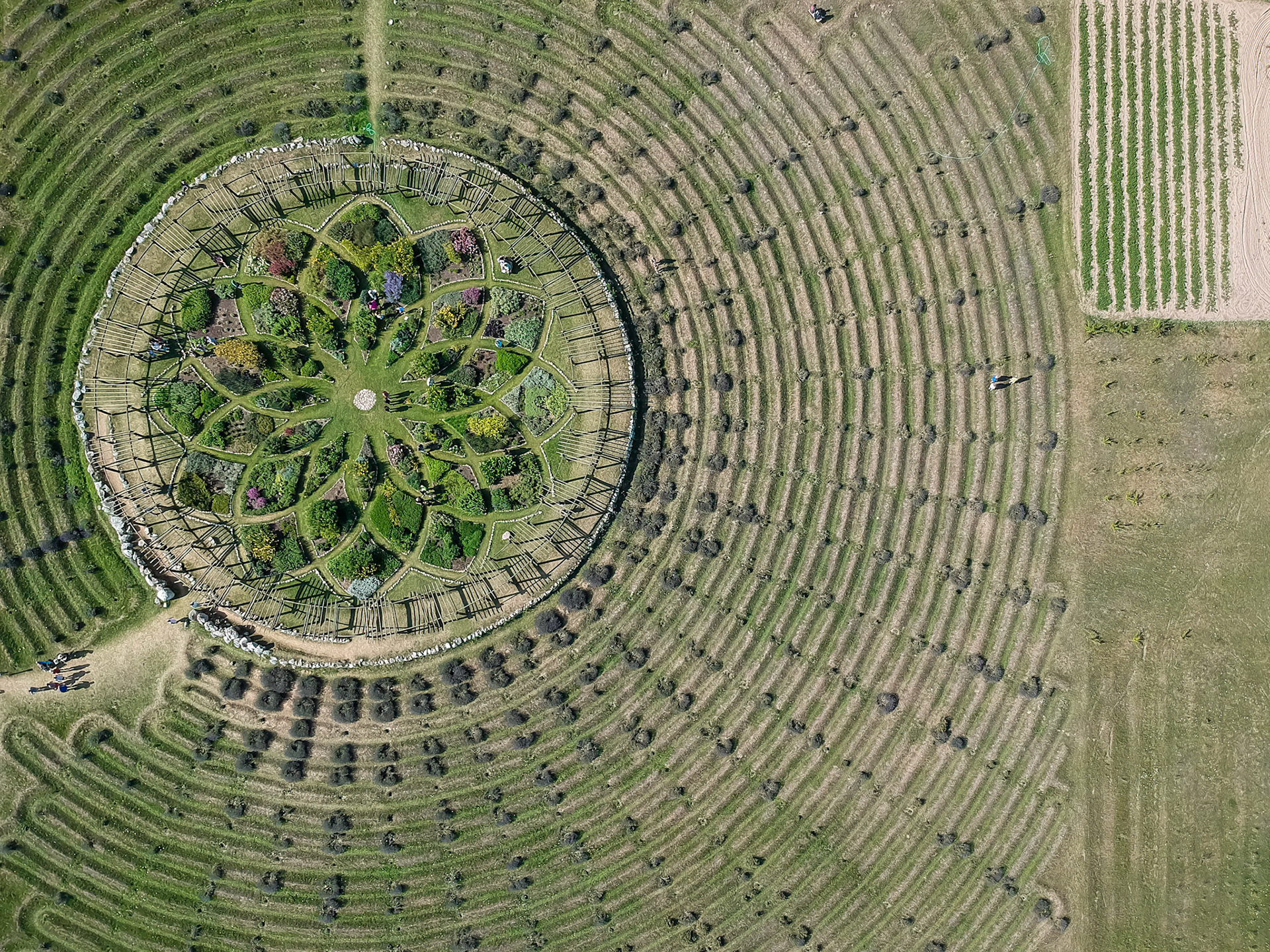 DCIM/100MEDIA/DJI_0045.JPG