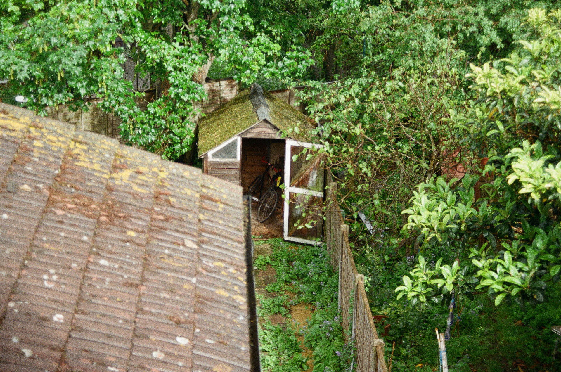 bike and the shed 