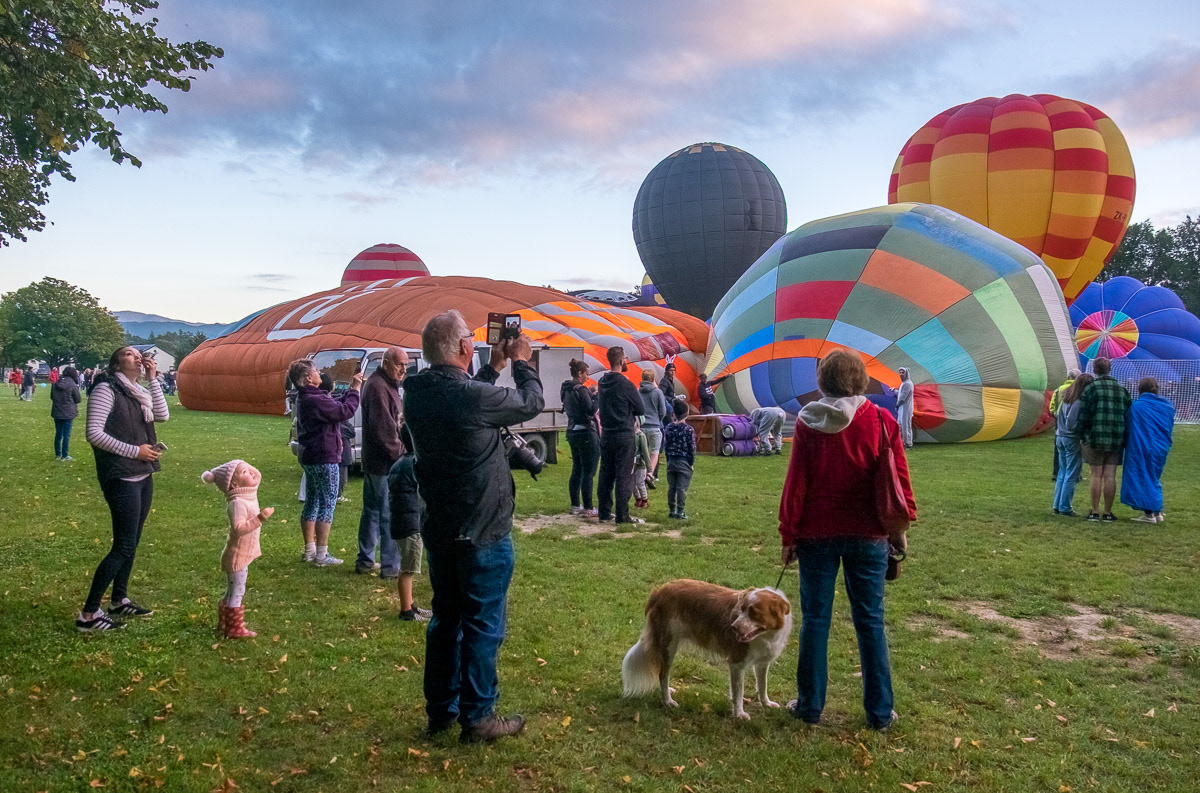 People and a dog watching a hot air balloon festival at Memorial Park, Greytown, 2018