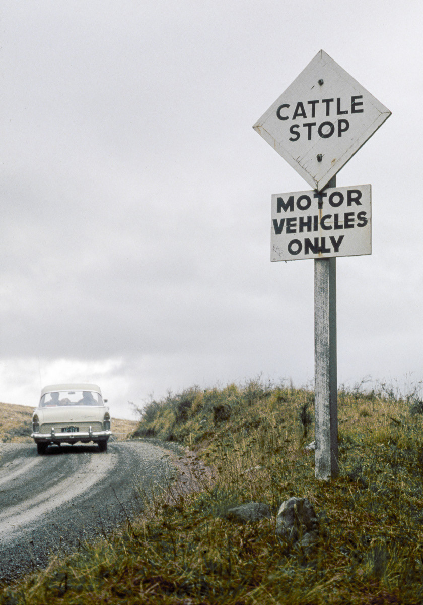 Cattle Stop