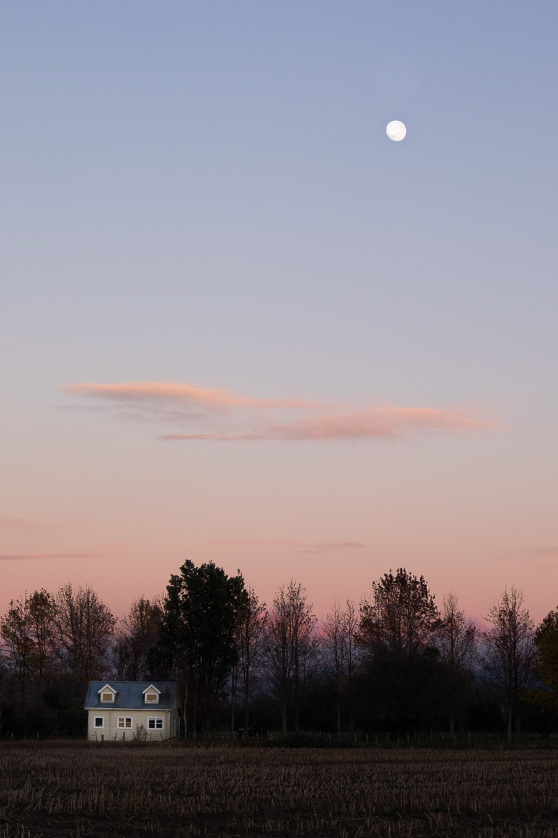 House with almost full moon above, Papawai Road, Greytown, 2017