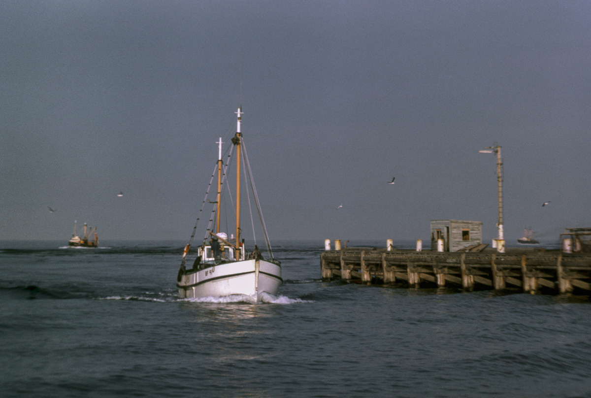 Fishing boat returning from Foveax Strait into Bluff Harbour