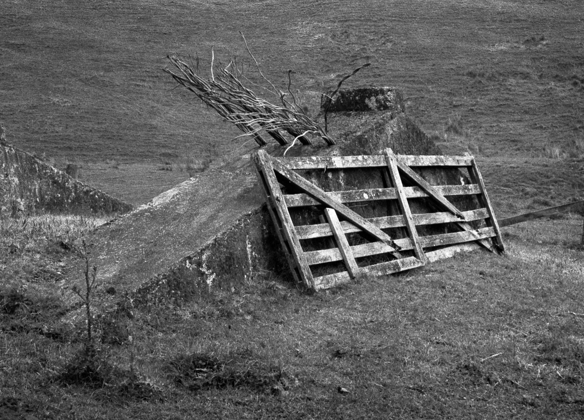 Remains of old suspension bridge beside the Hinakura to Gladstone road, Wairarapa, 1988