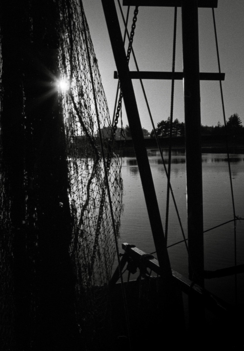 Sunrise seen through fishing nets, Riverton, Southland