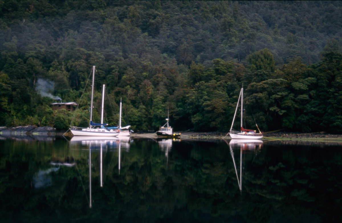 Yachts and a fishing boat moored in Supper Cove, Dusky Sound, Fiordland