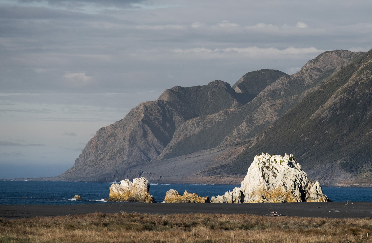 White Rock and the coast further south, 2018