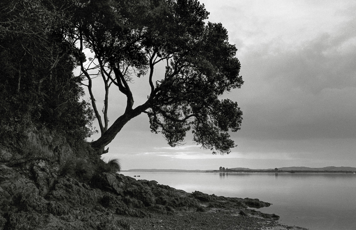 Whangateau Harbour, looking across towards Omaha, Northland,