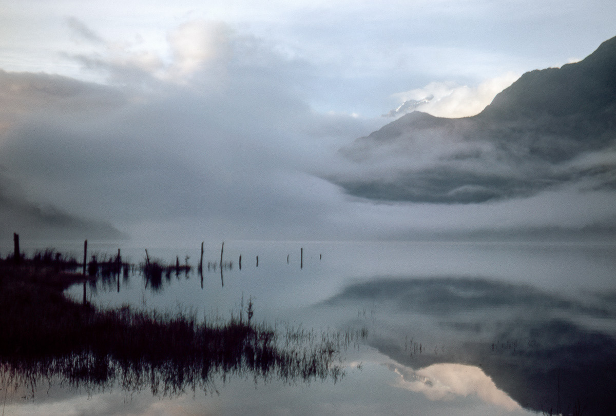 Lade Alabaster in early morning mist, Pike River Valley, Fiordland