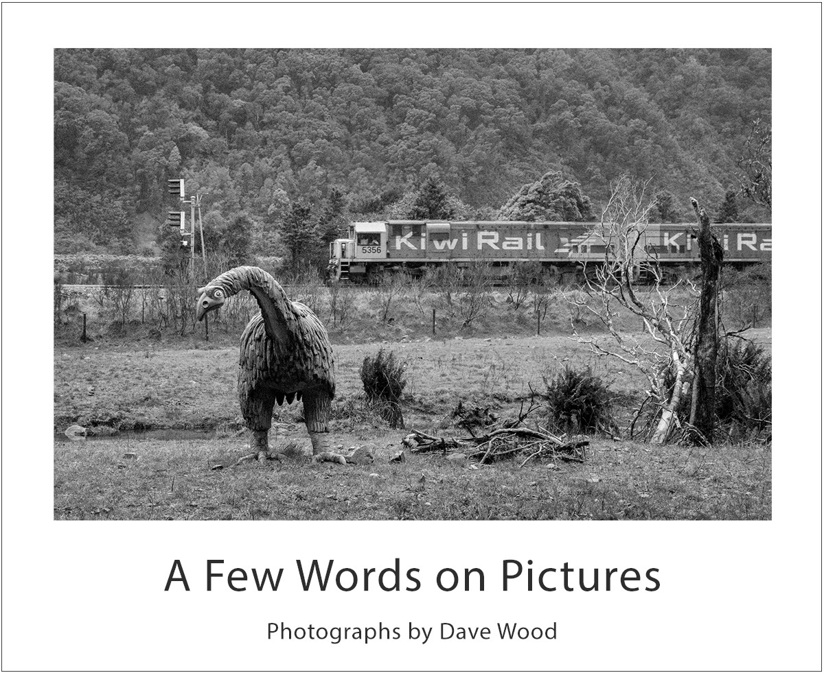 Moa surprised by passing train, Otira