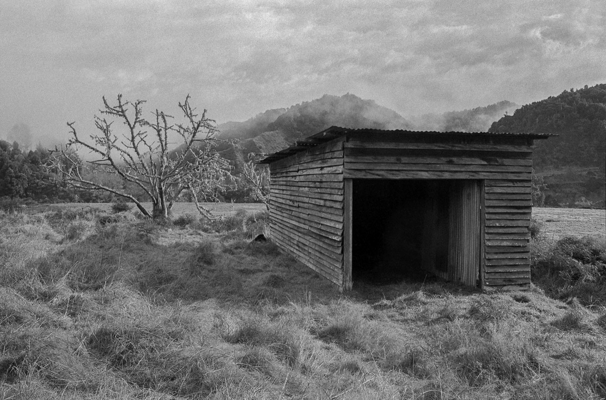 Deserted garage ond moss covered tree near the Whanganui River south of Taumarunui, 1985