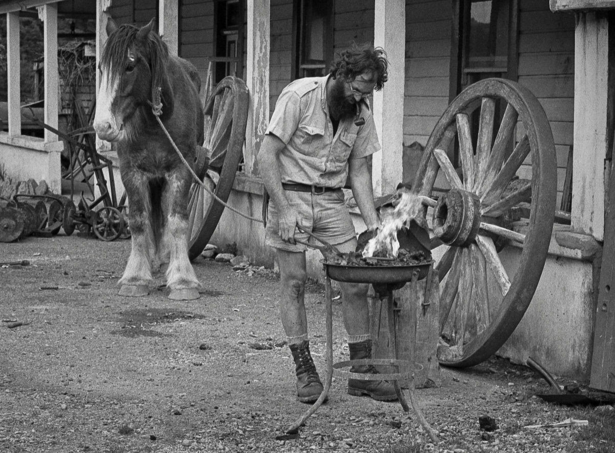 Stephen McGrath shoeing a draft horse, Upper Buller Gorge, 1980